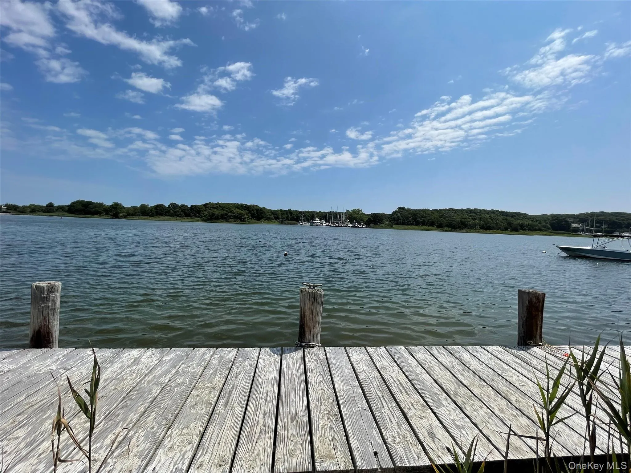 7 Albertines Lane, East Hampton, NY, 3 Bedrooms Bedrooms, 7 Rooms Rooms,2 BathroomsBathrooms,Residential,For Rent,Albertines,0,1022210 7 Albertines Lane, East Hampton, NY, 3 Bedrooms Bedrooms, 7 Rooms Rooms,2 BathroomsBathrooms,Residential,For Rent,Albertines,0,1022210
