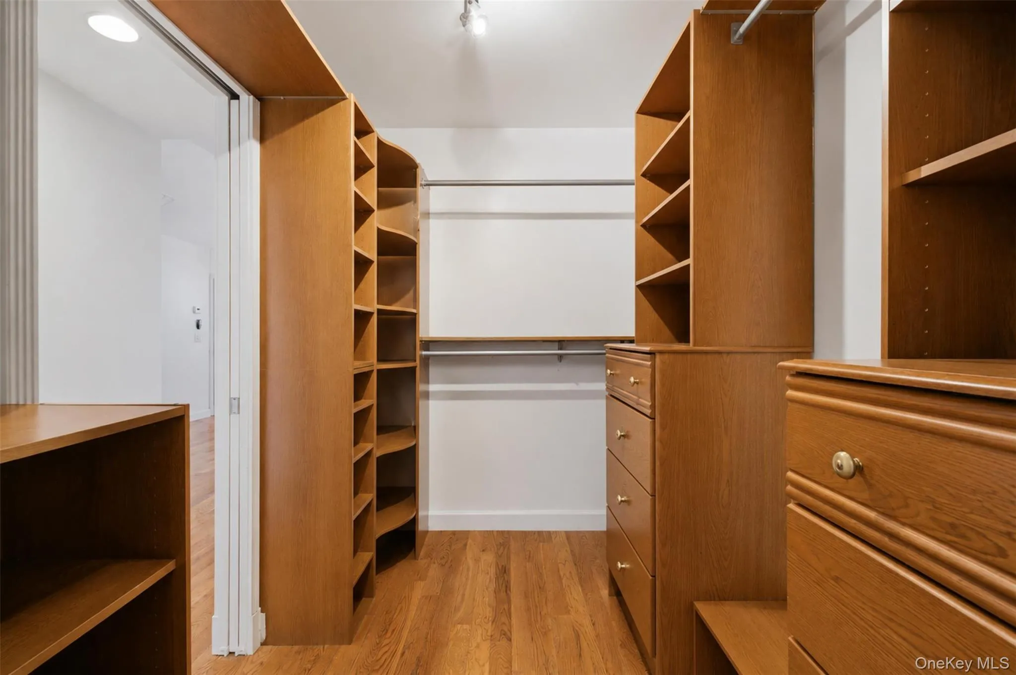 Walk-in closet featuring wood-finish flooring, recessed lighting, track lighting, and built-in shelving units Walk-in closet featuring wood-finish flooring, recessed lighting, track lighting, and built-in shelving units