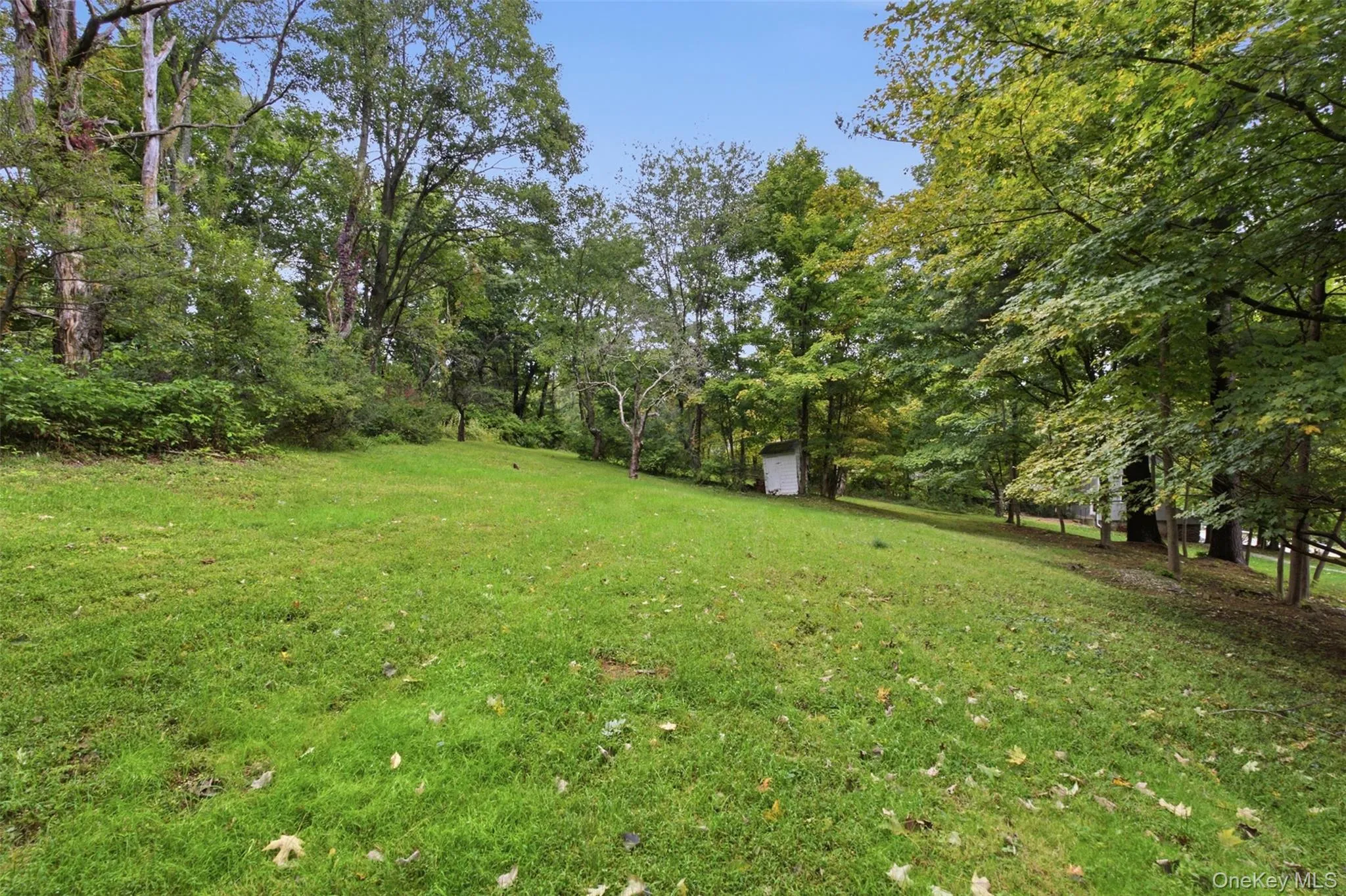 115 Somerstown Road, New Castle, NY, 3 Bedrooms Bedrooms, 5 Rooms Rooms,1 BathroomBathrooms,Residential,For Rent,Somerstown,0,1022233 115 Somerstown Road, New Castle, NY, 3 Bedrooms Bedrooms, 5 Rooms Rooms,1 BathroomBathrooms,Residential,For Rent,Somerstown,0,1022233