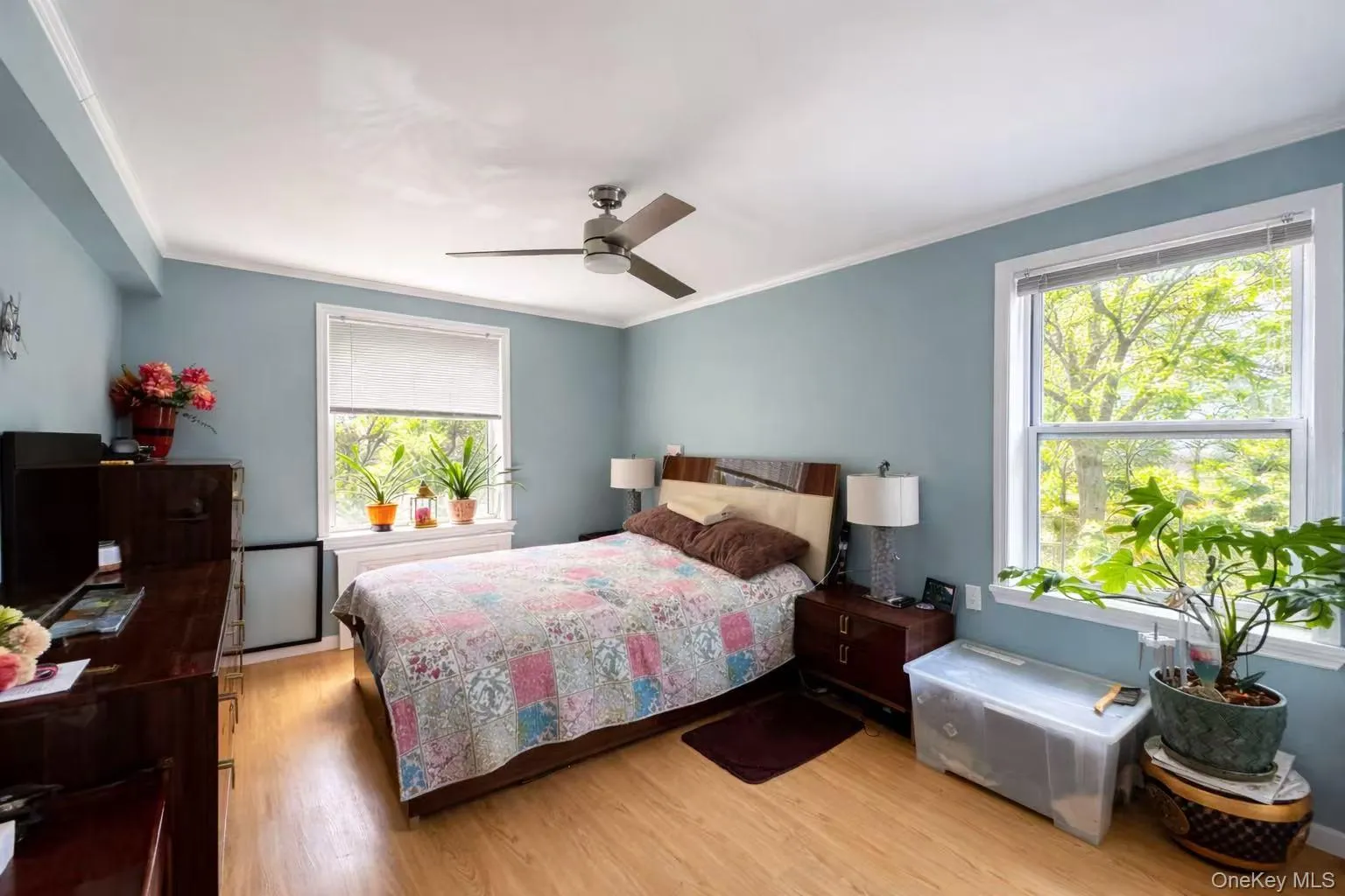 141-03 79 Avenue, New York, NY, 2 Bedrooms Bedrooms, 4 Rooms Rooms,1 BathroomBathrooms,Residential,For Rent,79,0,1022242 141-03 79 Avenue, New York, NY, 2 Bedrooms Bedrooms, 4 Rooms Rooms,1 BathroomBathrooms,Residential,For Rent,79,0,1022242