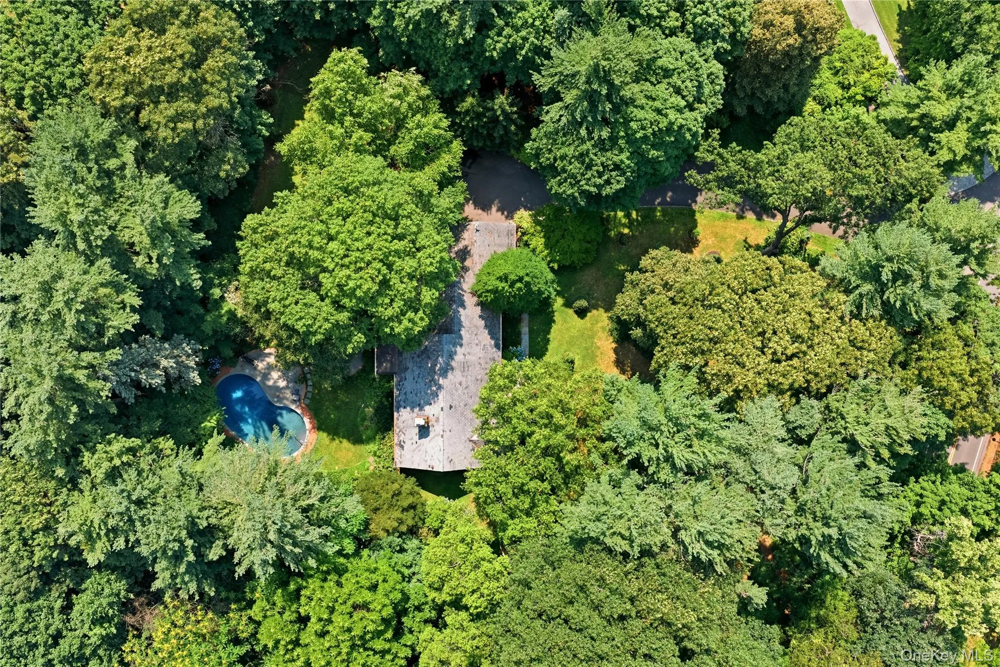 790 Bryant Avenue, North Hempstead, NY, 4 Bedrooms Bedrooms, 9 Rooms Rooms,3 BathroomsBathrooms,Residential,For Rent,Bryant,0,1022251 790 Bryant Avenue, North Hempstead, NY, 4 Bedrooms Bedrooms, 9 Rooms Rooms,3 BathroomsBathrooms,Residential,For Rent,Bryant,0,1022251