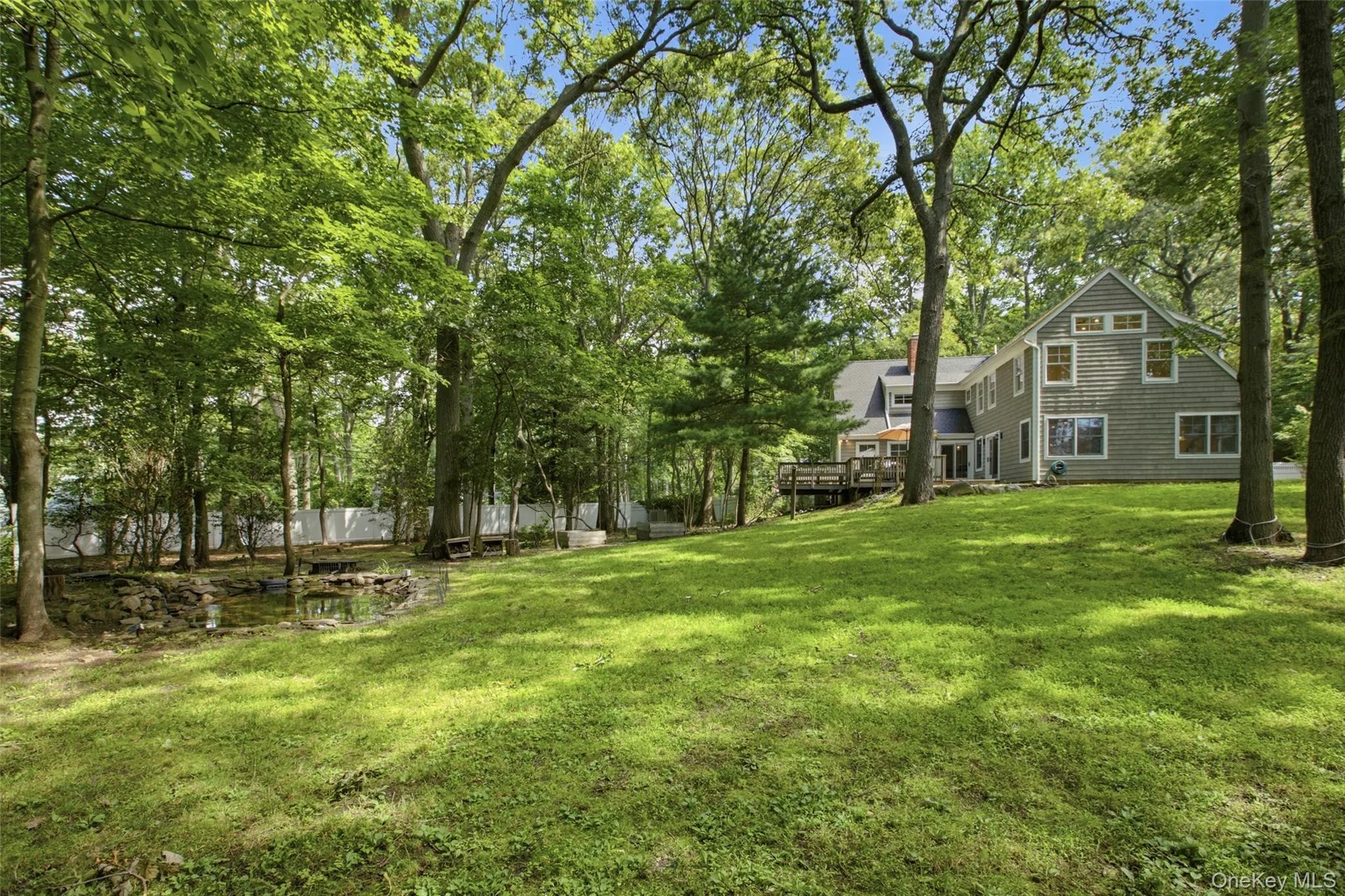 Backyard Backyard