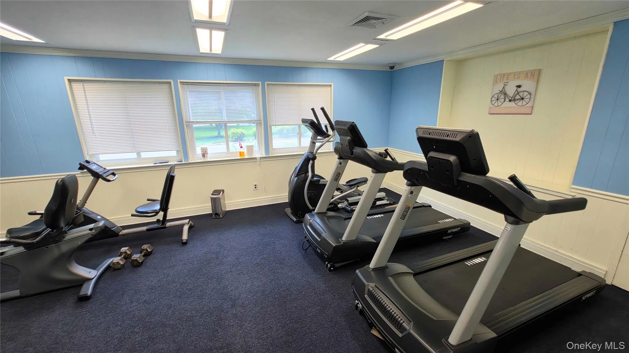 282 Artist Lake Drive, Brookhaven, NY, 1 Bedroom Bedrooms, 4 Rooms Rooms,1 BathroomBathrooms,Residential,For Rent,Artist Lake,0,1022259 282 Artist Lake Drive, Brookhaven, NY, 1 Bedroom Bedrooms, 4 Rooms Rooms,1 BathroomBathrooms,Residential,For Rent,Artist Lake,0,1022259