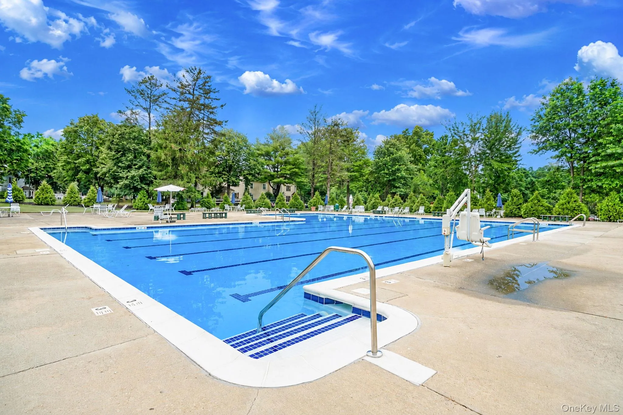 282 Artist Lake Drive, Brookhaven, NY, 1 Bedroom Bedrooms, 4 Rooms Rooms,1 BathroomBathrooms,Residential,For Rent,Artist Lake,0,1022259 282 Artist Lake Drive, Brookhaven, NY, 1 Bedroom Bedrooms, 4 Rooms Rooms,1 BathroomBathrooms,Residential,For Rent,Artist Lake,0,1022259