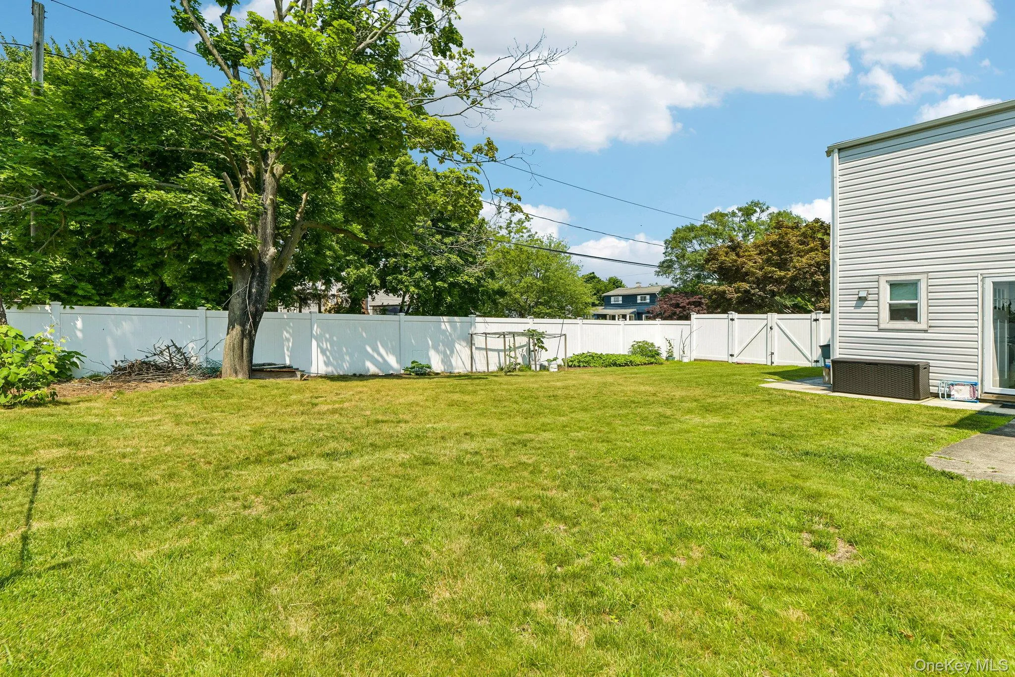 Expansive grassy lawn with a white privacy fence Expansive grassy lawn with a white privacy fence