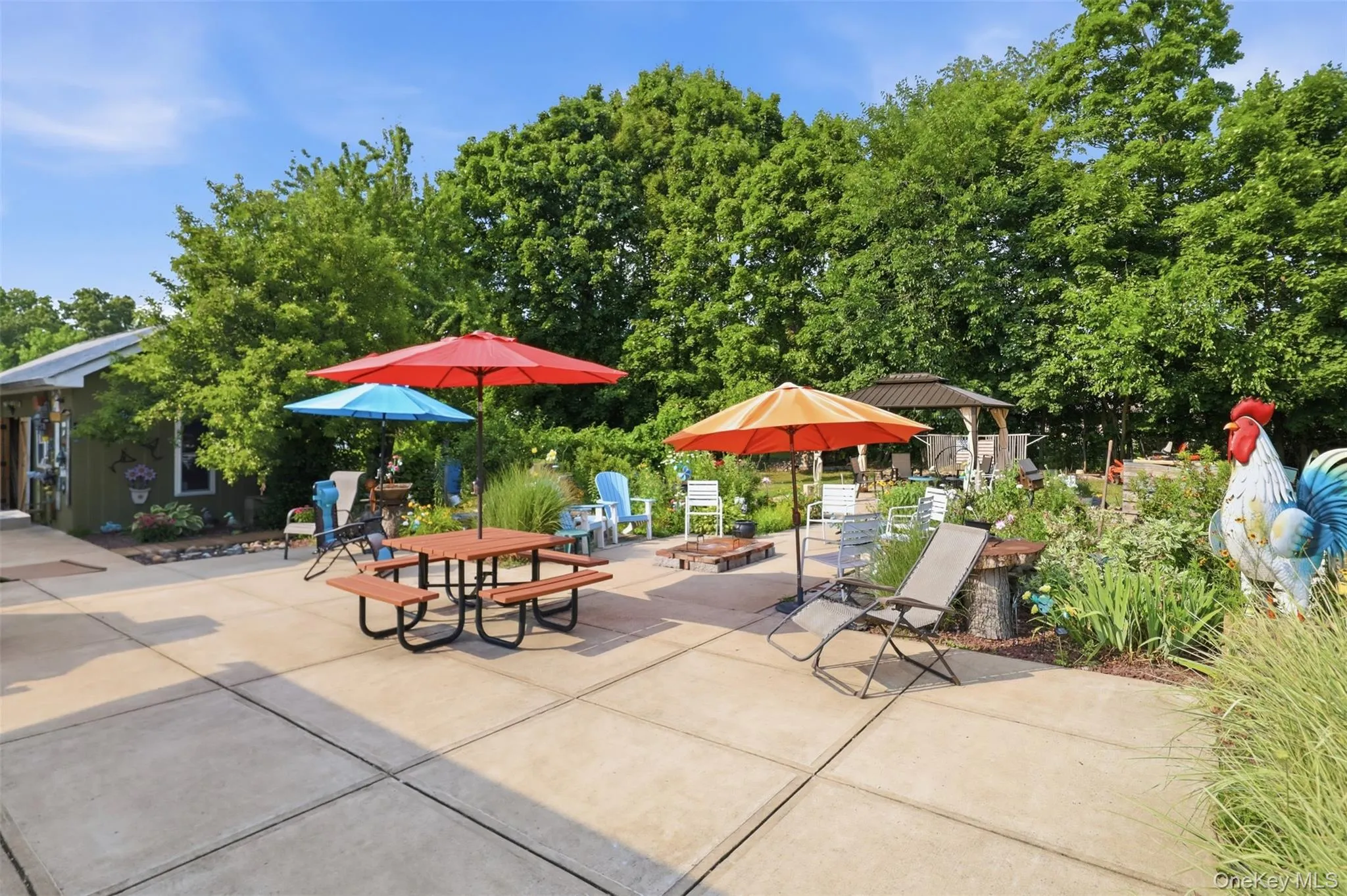 Backyard Backyard