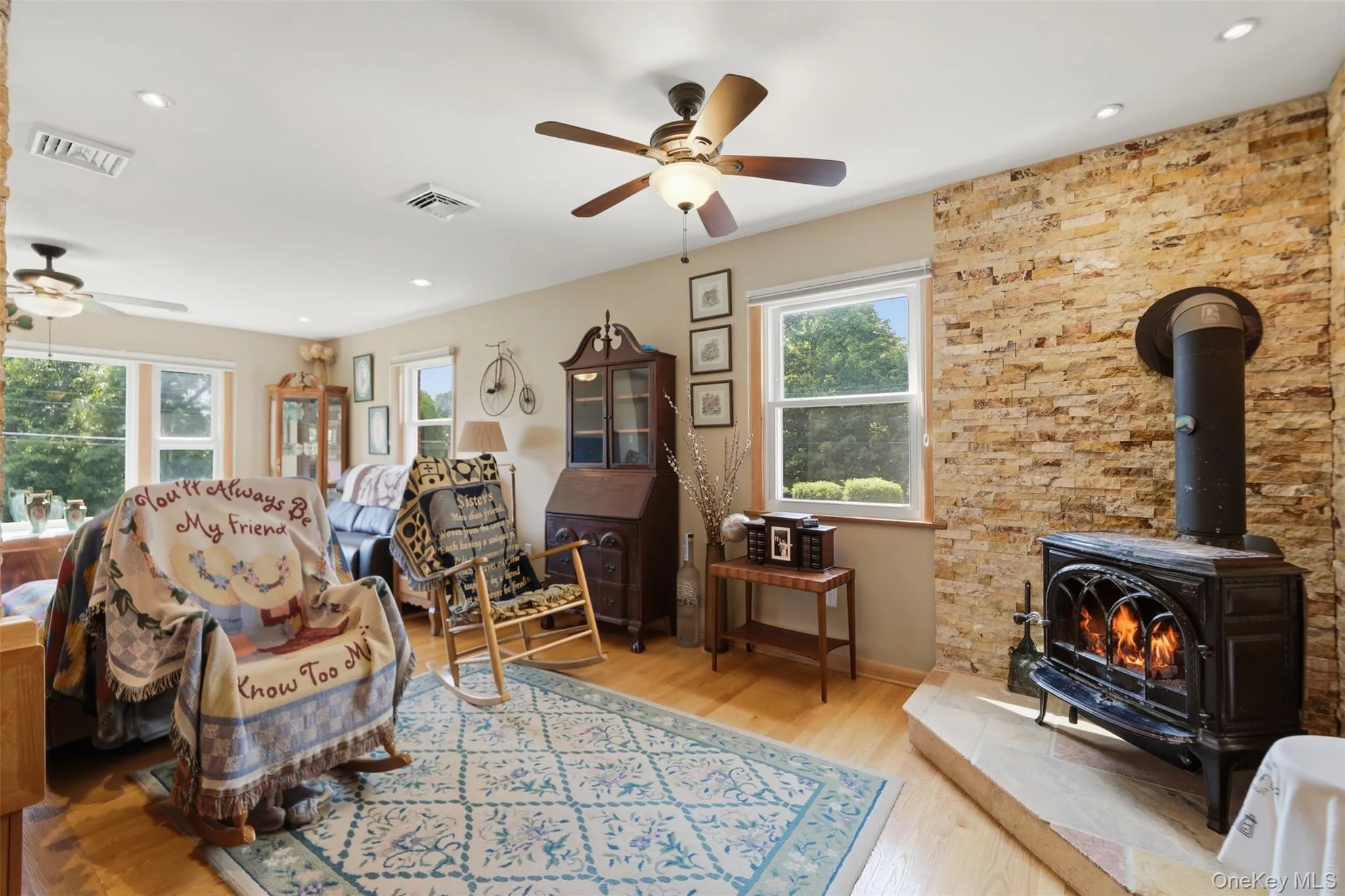 Wood burning stove in living room Wood burning stove in living room
