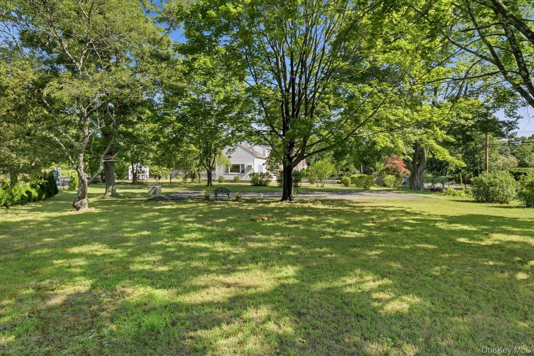 Huge private yard Huge private yard