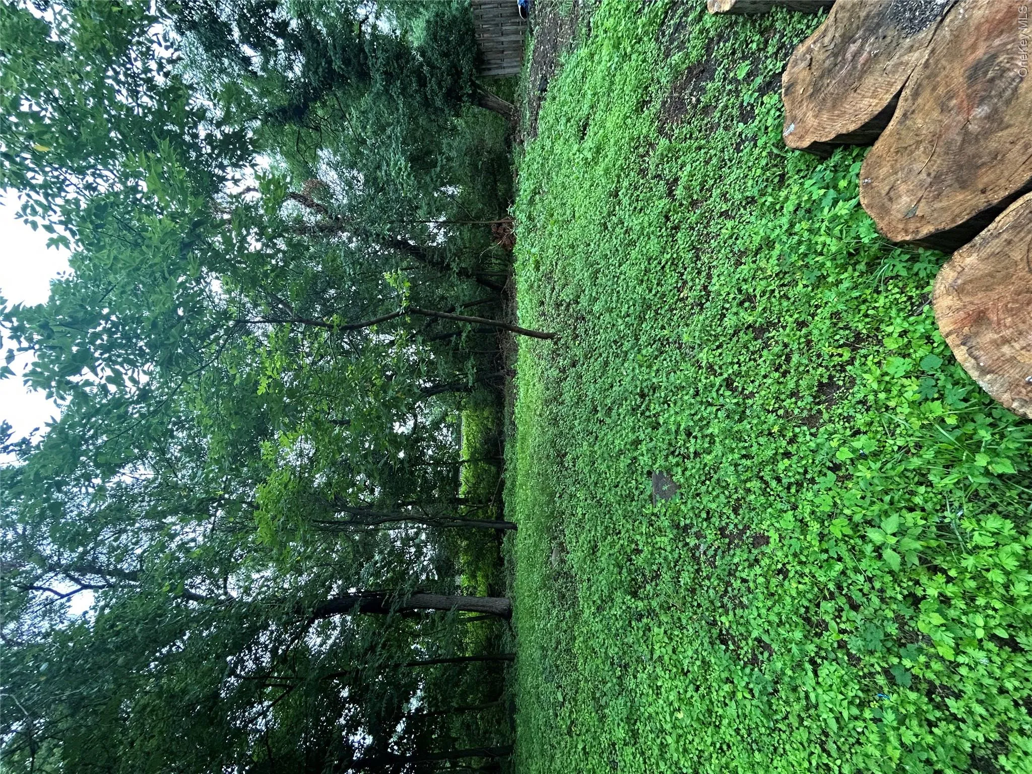19 Dykes Park Road, Clarkstown, NY, 1 Bedroom Bedrooms, 3 Rooms Rooms,2 BathroomsBathrooms,Residential,For Rent,Dykes Park,0,1022363 19 Dykes Park Road, Clarkstown, NY, 1 Bedroom Bedrooms, 3 Rooms Rooms,2 BathroomsBathrooms,Residential,For Rent,Dykes Park,0,1022363