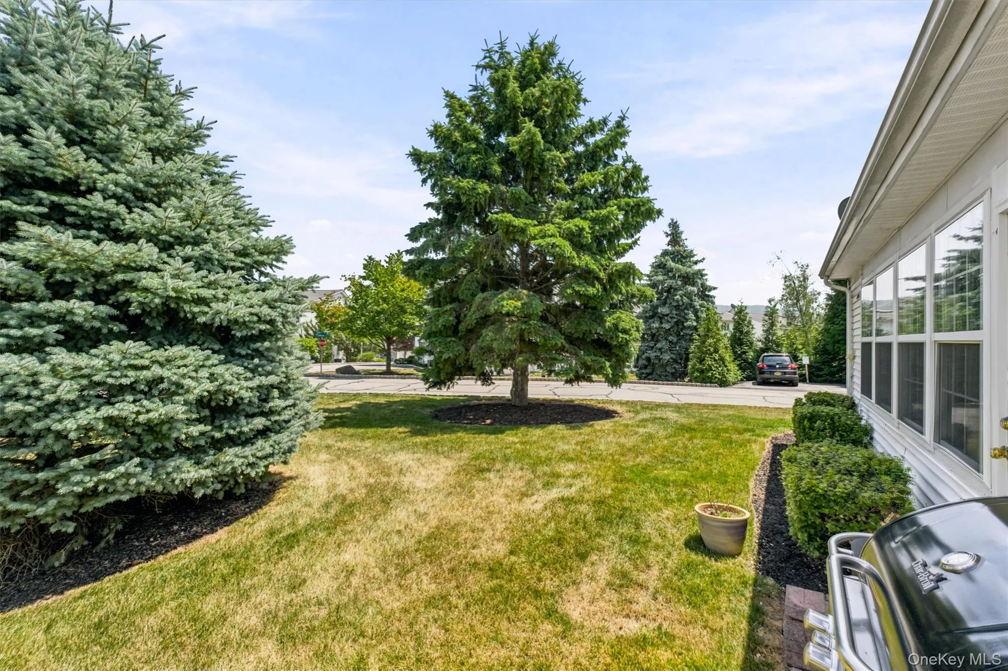 Expansive lawn with mature evergreens and established landscaping beds Expansive lawn with mature evergreens and established landscaping beds