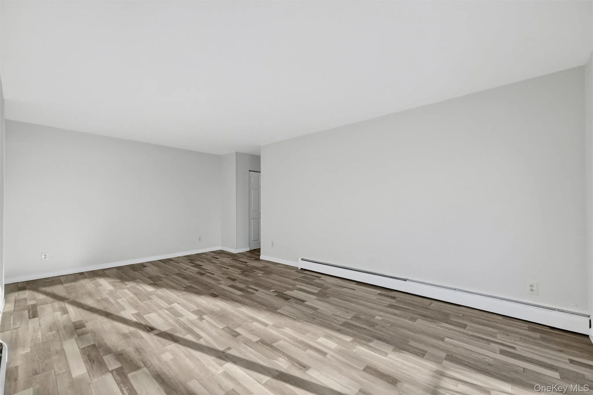 Empty room with a baseboard radiator and light wood-style flooring Empty room with a baseboard radiator and light wood-style flooring