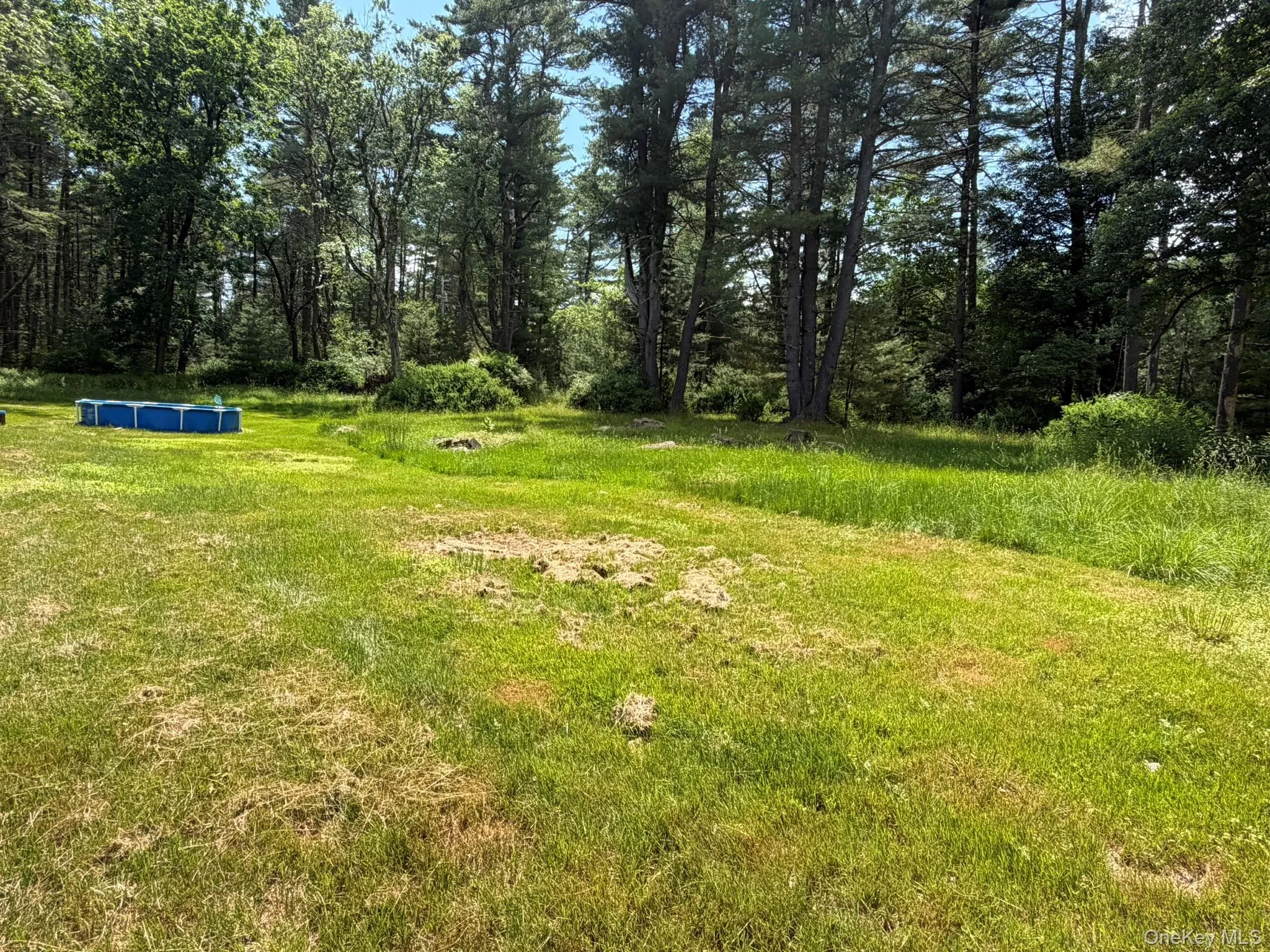 5 Steges Road, Highland, NY, 3 Bedrooms Bedrooms, 5 Rooms Rooms,1 BathroomBathrooms,Residential,For Rent,Steges,0,1022486 5 Steges Road, Highland, NY, 3 Bedrooms Bedrooms, 5 Rooms Rooms,1 BathroomBathrooms,Residential,For Rent,Steges,0,1022486