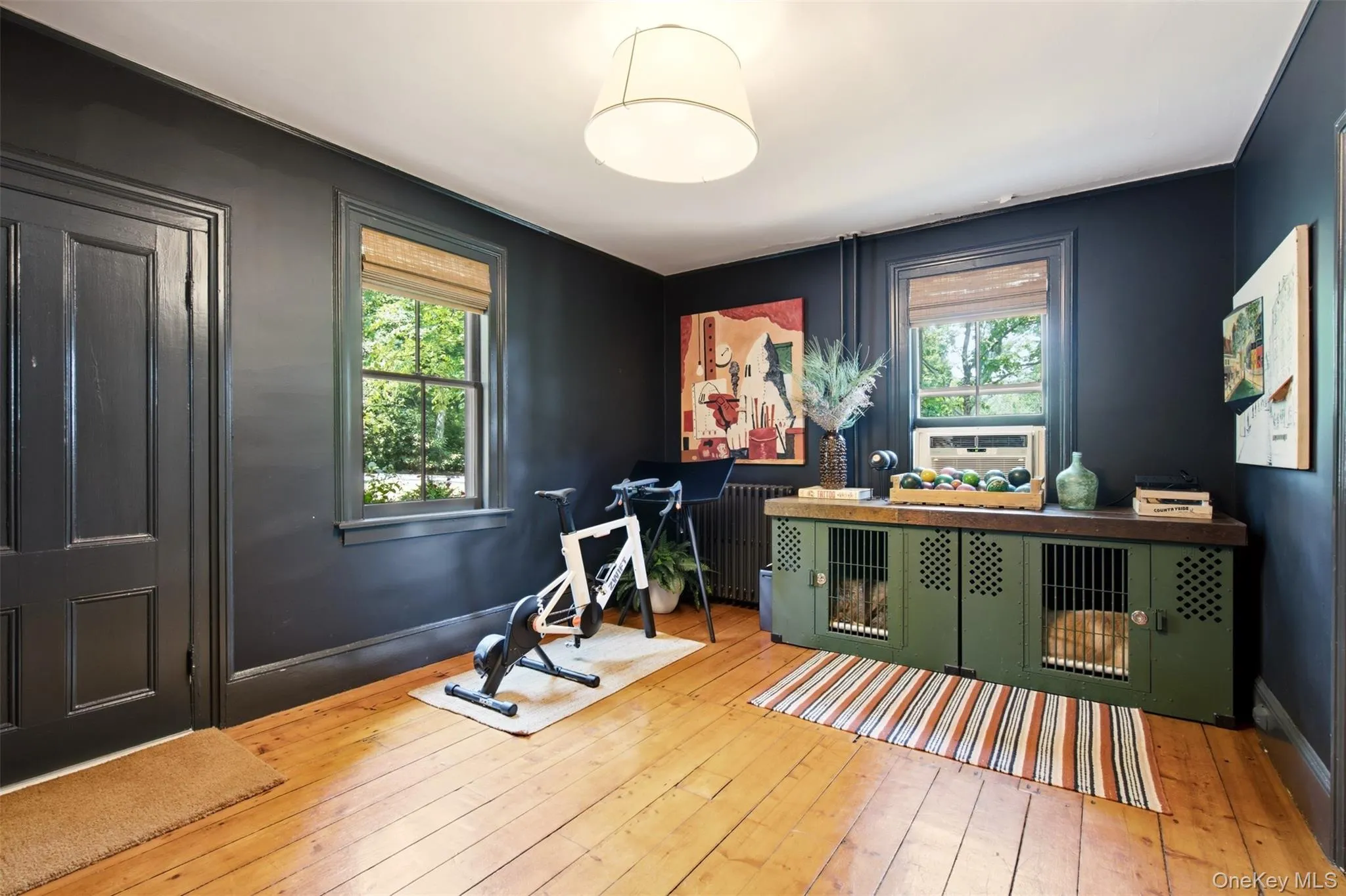 Den/Office Den/Office