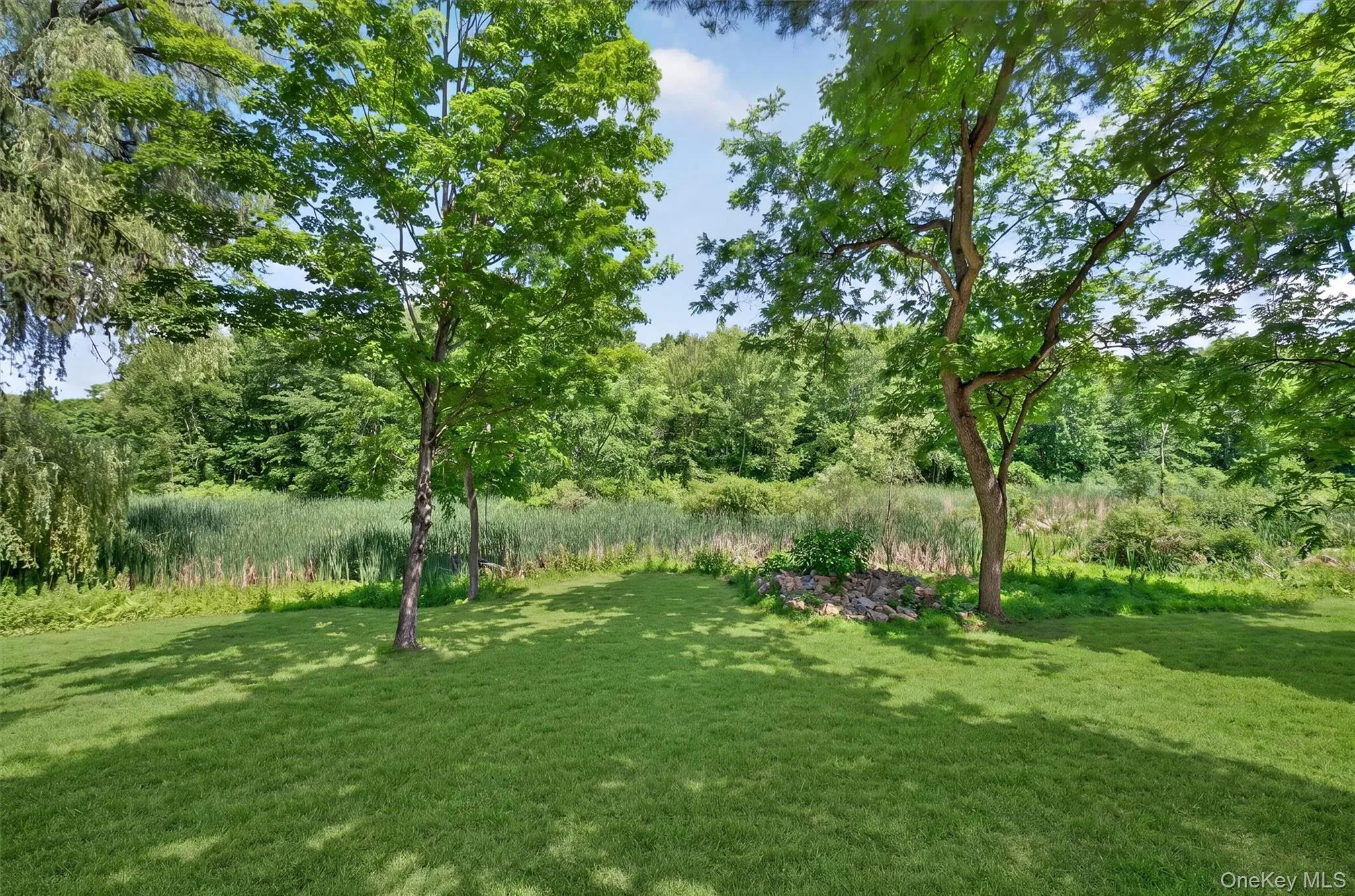 262 Linden Avenue, Red Hook, NY, 3 Bedrooms Bedrooms, 7 Rooms Rooms,3 BathroomsBathrooms,Residential,For Rent,Linden,0,1022522 262 Linden Avenue, Red Hook, NY, 3 Bedrooms Bedrooms, 7 Rooms Rooms,3 BathroomsBathrooms,Residential,For Rent,Linden,0,1022522