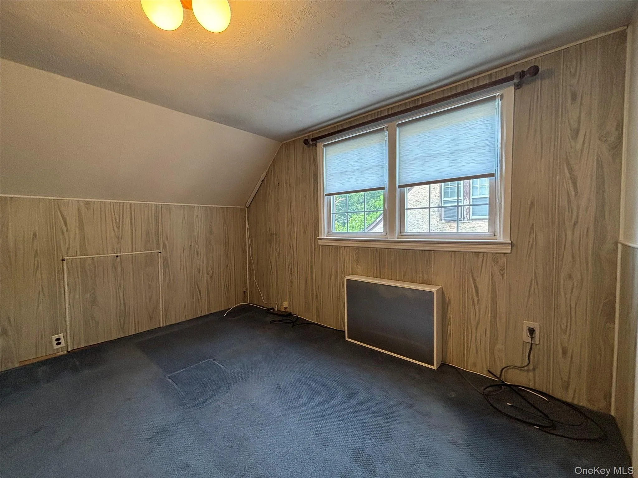 Room featuring wood-finish paneling, an angled ceiling, and wall-to-wall carpeting Room featuring wood-finish paneling, an angled ceiling, and wall-to-wall carpeting