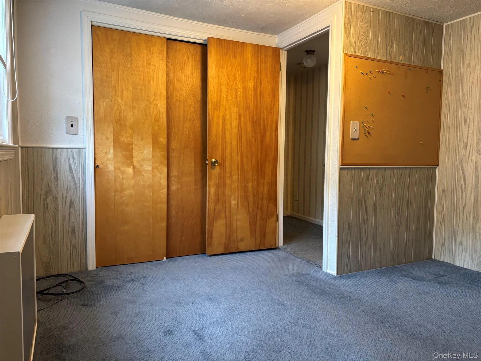 Interior room with wood-look paneling and light blue carpet flooring Interior room with wood-look paneling and light blue carpet flooring