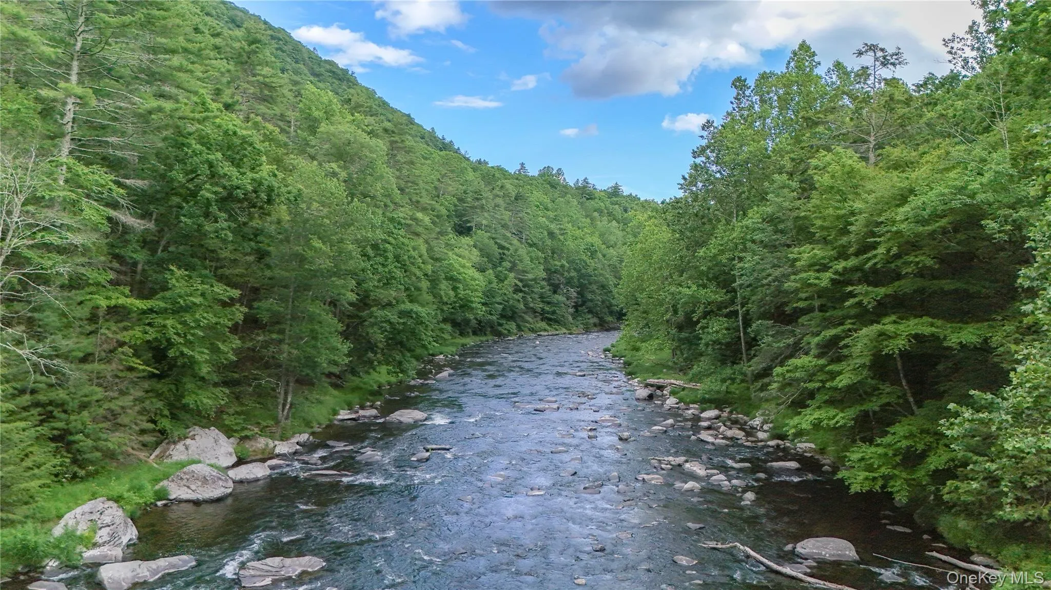 225 Hatchery Road, Forestburgh, NY, 2 Bedrooms Bedrooms, 5 Rooms Rooms,2 BathroomsBathrooms,Residential,For Rent,Hatchery,0,1022570 225 Hatchery Road, Forestburgh, NY, 2 Bedrooms Bedrooms, 5 Rooms Rooms,2 BathroomsBathrooms,Residential,For Rent,Hatchery,0,1022570