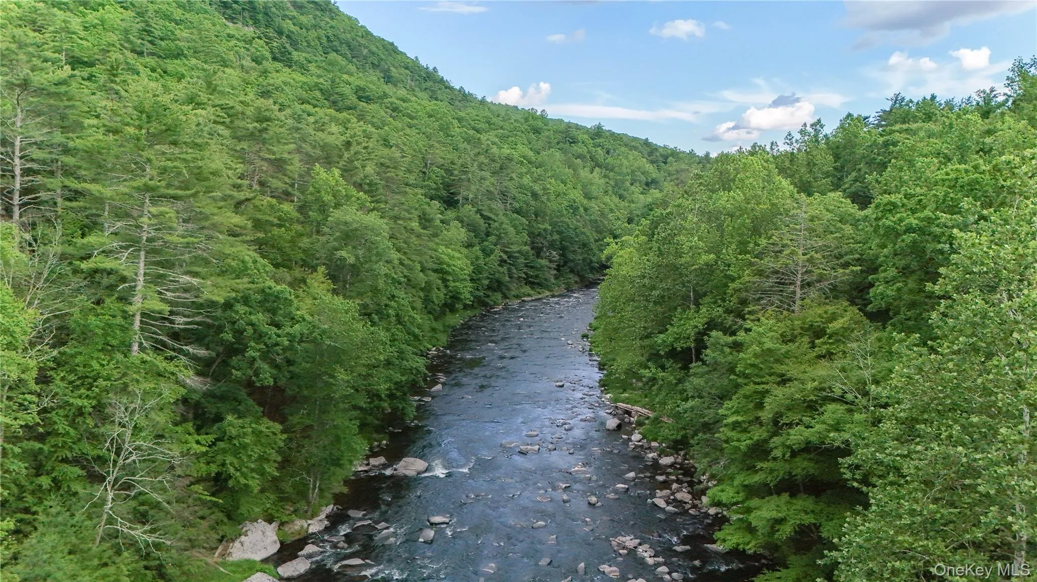 225 Hatchery Road, Forestburgh, NY, 2 Bedrooms Bedrooms, 5 Rooms Rooms,2 BathroomsBathrooms,Residential,For Rent,Hatchery,0,1022570 225 Hatchery Road, Forestburgh, NY, 2 Bedrooms Bedrooms, 5 Rooms Rooms,2 BathroomsBathrooms,Residential,For Rent,Hatchery,0,1022570