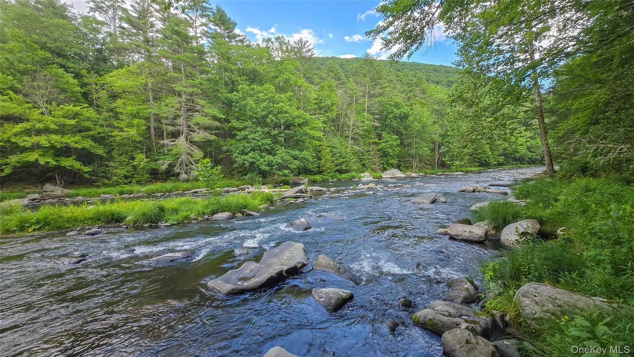 225 Hatchery Road, Forestburgh, NY, 2 Bedrooms Bedrooms, 5 Rooms Rooms,2 BathroomsBathrooms,Residential,For Rent,Hatchery,0,1022570 225 Hatchery Road, Forestburgh, NY, 2 Bedrooms Bedrooms, 5 Rooms Rooms,2 BathroomsBathrooms,Residential,For Rent,Hatchery,0,1022570