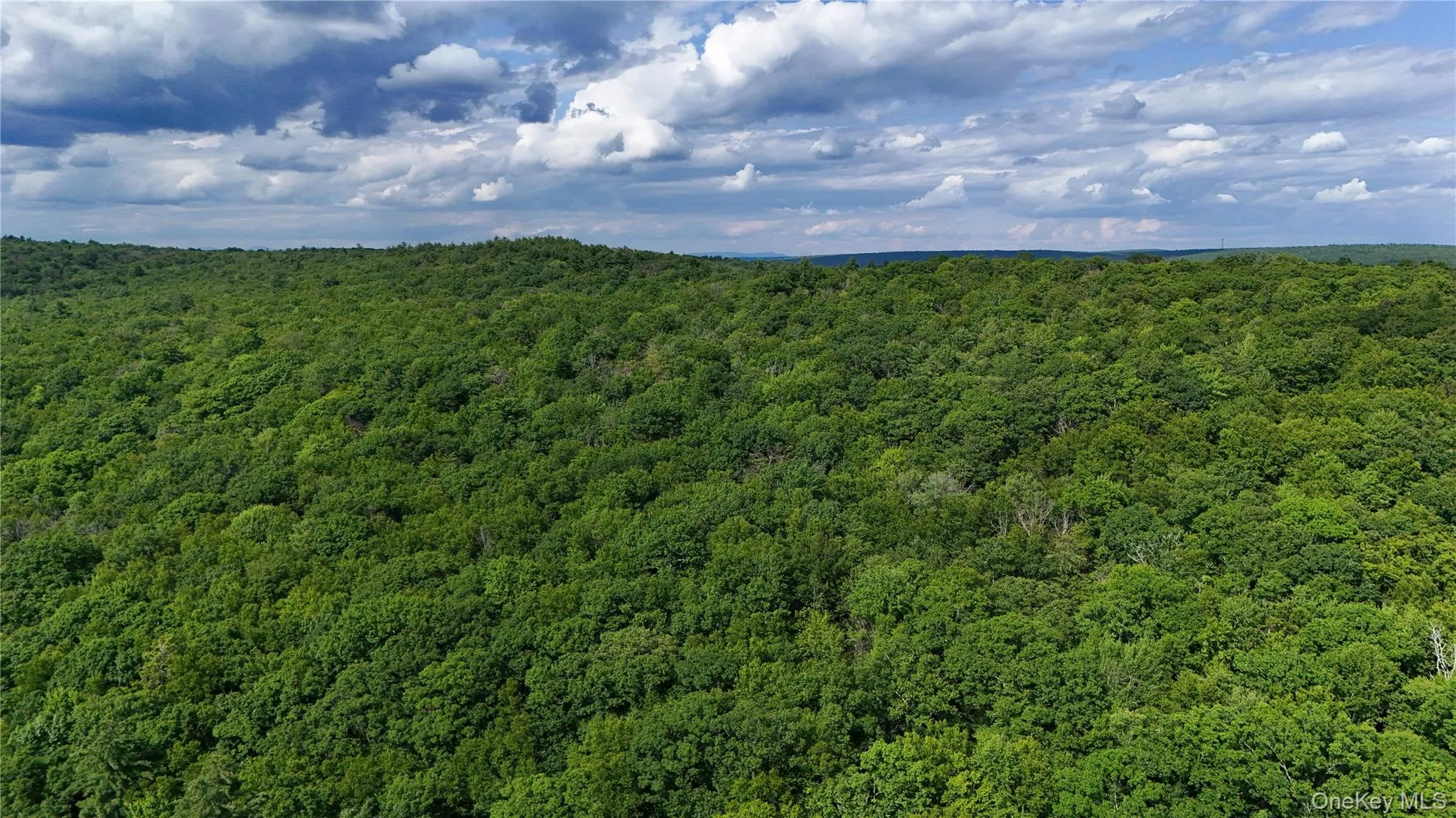 225 Hatchery Road, Forestburgh, NY, 2 Bedrooms Bedrooms, 5 Rooms Rooms,2 BathroomsBathrooms,Residential,For Rent,Hatchery,0,1022570 225 Hatchery Road, Forestburgh, NY, 2 Bedrooms Bedrooms, 5 Rooms Rooms,2 BathroomsBathrooms,Residential,For Rent,Hatchery,0,1022570