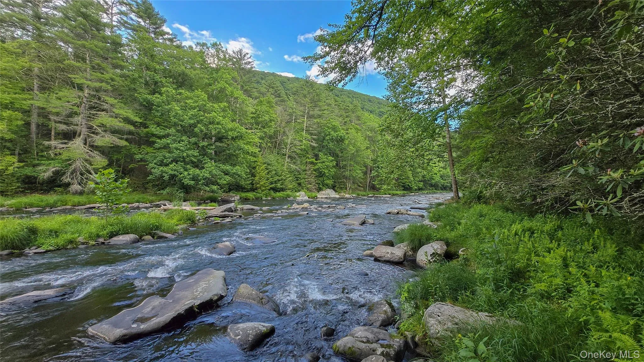225 Hatchery Road, Forestburgh, NY, 2 Bedrooms Bedrooms, 5 Rooms Rooms,2 BathroomsBathrooms,Residential,For Rent,Hatchery,0,1022570 225 Hatchery Road, Forestburgh, NY, 2 Bedrooms Bedrooms, 5 Rooms Rooms,2 BathroomsBathrooms,Residential,For Rent,Hatchery,0,1022570