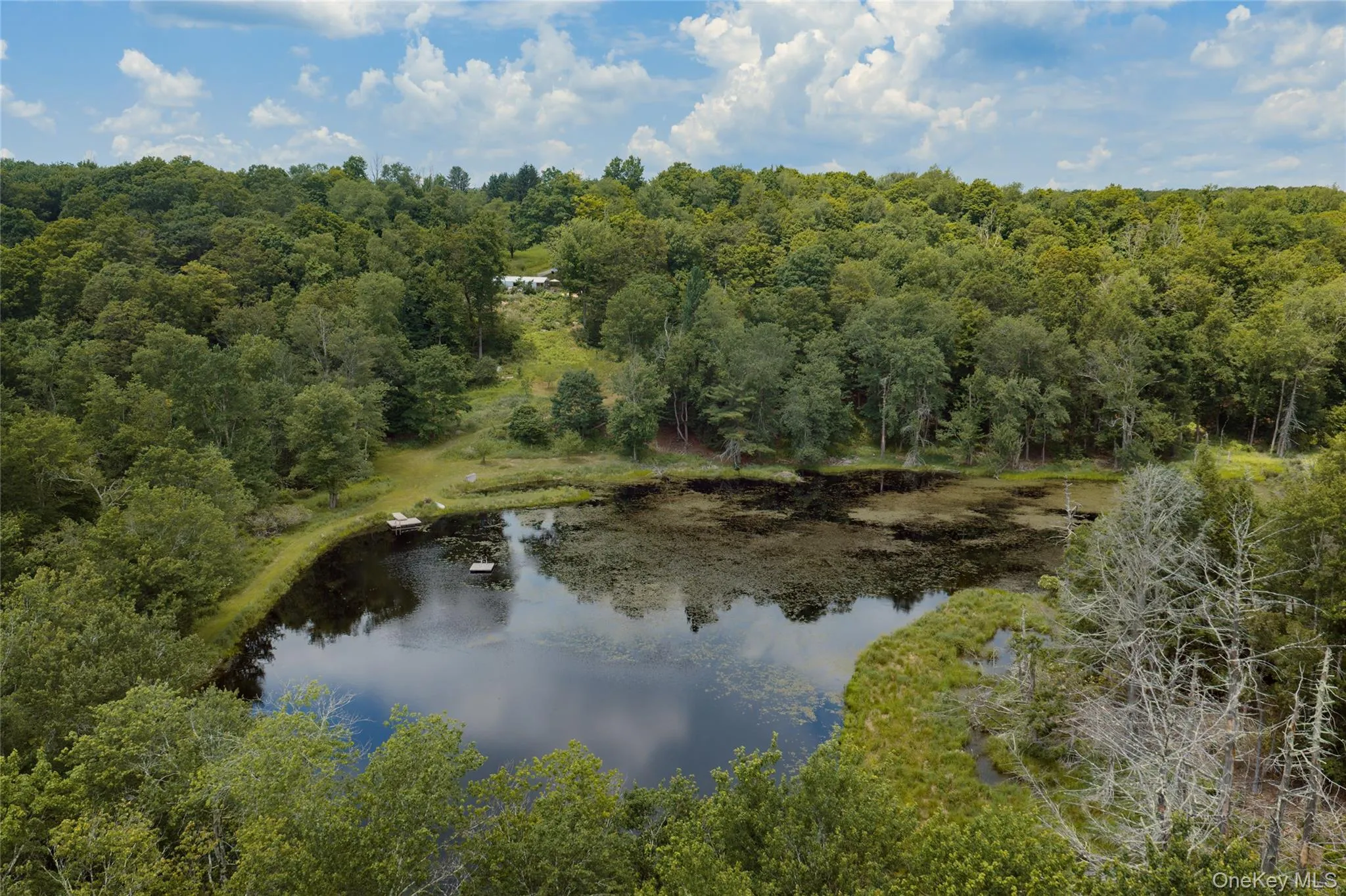 689 Church Road, Fallsburg, NY, 1 Bedroom Bedrooms, 2 Rooms Rooms,1 BathroomBathrooms,Residential,For Rent,Church,0,1022581 689 Church Road, Fallsburg, NY, 1 Bedroom Bedrooms, 2 Rooms Rooms,1 BathroomBathrooms,Residential,For Rent,Church,0,1022581