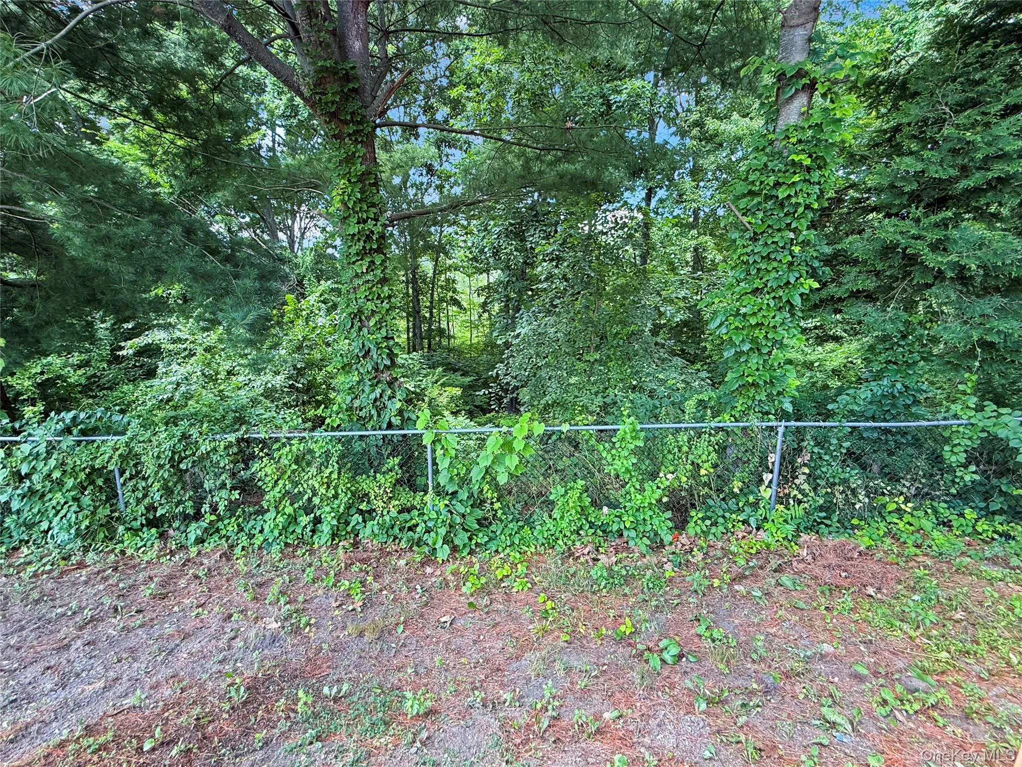 43 Regency Drive, Poughkeepsie (town), NY, 4 Bedrooms Bedrooms, 11 Rooms Rooms,3 BathroomsBathrooms,Residential,For Rent,Regency,0,1022595 43 Regency Drive, Poughkeepsie (town), NY, 4 Bedrooms Bedrooms, 11 Rooms Rooms,3 BathroomsBathrooms,Residential,For Rent,Regency,0,1022595