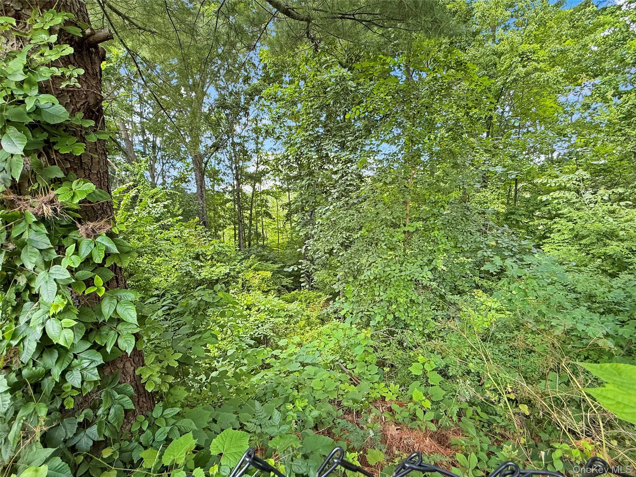 43 Regency Drive, Poughkeepsie (town), NY, 4 Bedrooms Bedrooms, 11 Rooms Rooms,3 BathroomsBathrooms,Residential,For Rent,Regency,0,1022595 43 Regency Drive, Poughkeepsie (town), NY, 4 Bedrooms Bedrooms, 11 Rooms Rooms,3 BathroomsBathrooms,Residential,For Rent,Regency,0,1022595