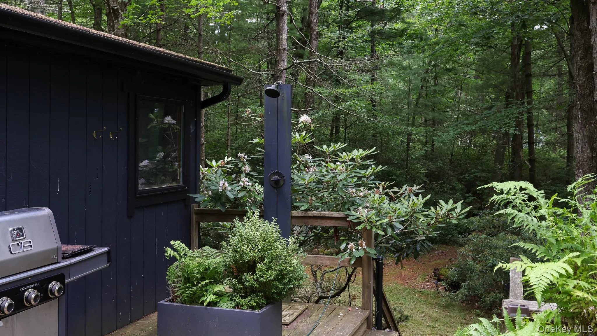 1289 Plank Road, Forestburgh, NY, 3 Bedrooms Bedrooms, 9 Rooms Rooms,2 BathroomsBathrooms,Residential,For Rent,Plank,0,1022635 1289 Plank Road, Forestburgh, NY, 3 Bedrooms Bedrooms, 9 Rooms Rooms,2 BathroomsBathrooms,Residential,For Rent,Plank,0,1022635