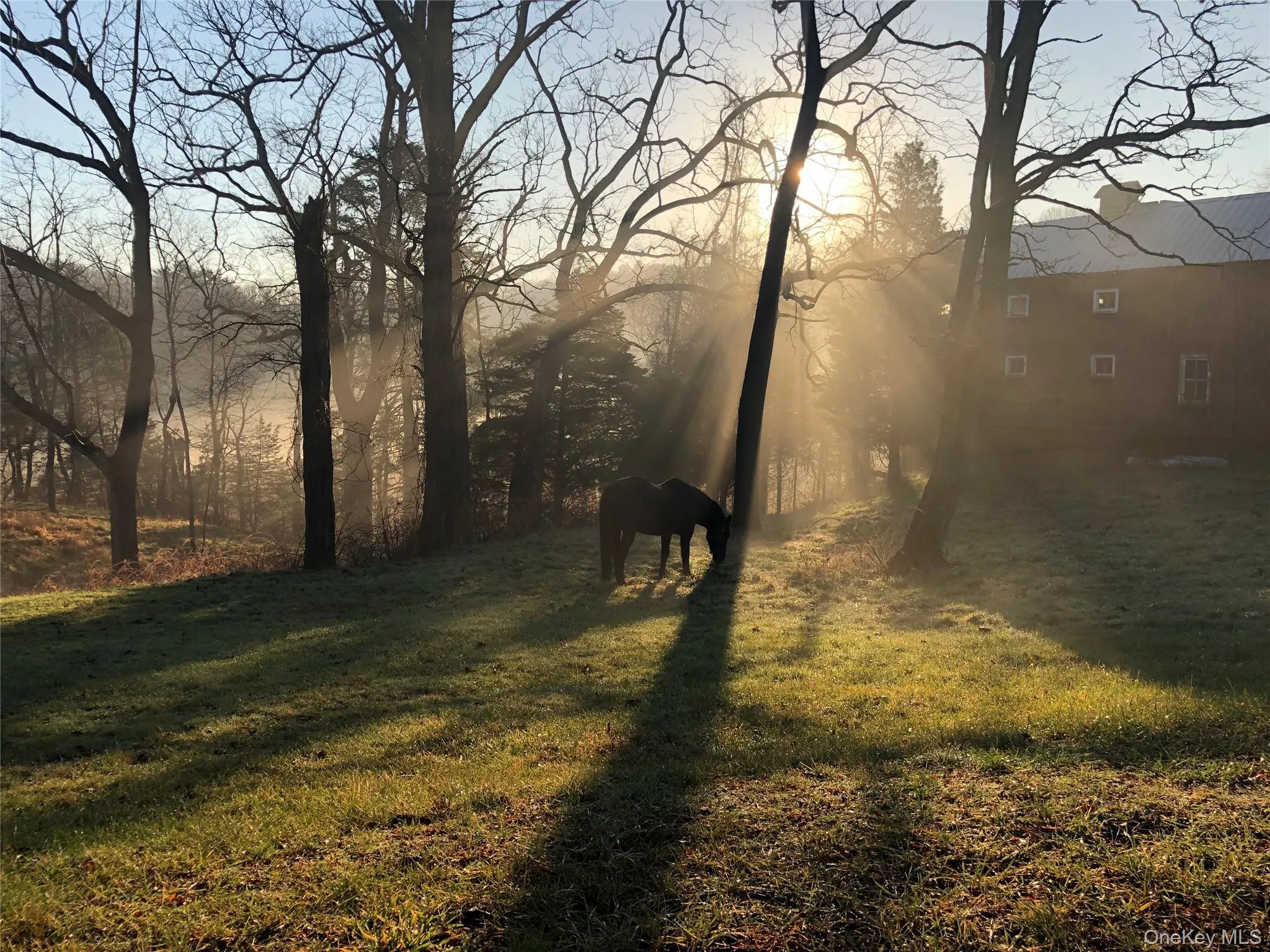 38 Landing Meadow Road, Smithtown, NY, 7 Bedrooms Bedrooms, 17 Rooms Rooms,5 BathroomsBathrooms,Residential,For Rent,Landing Meadow,0,1022766 38 Landing Meadow Road, Smithtown, NY, 7 Bedrooms Bedrooms, 17 Rooms Rooms,5 BathroomsBathrooms,Residential,For Rent,Landing Meadow,0,1022766