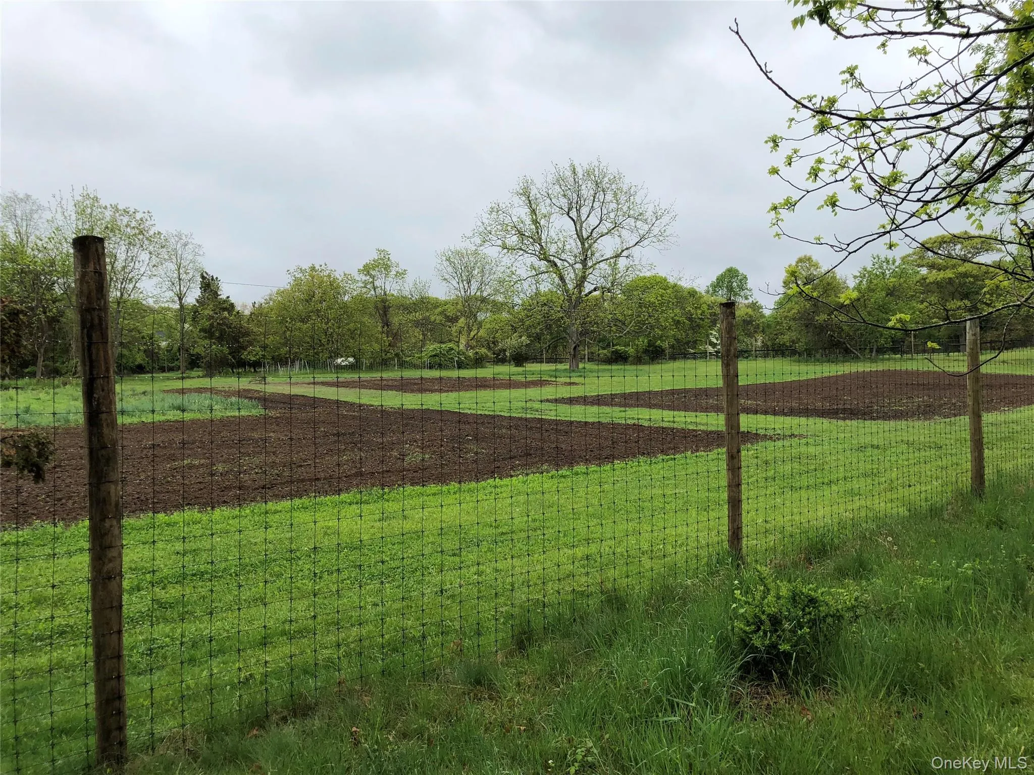 38 Landing Meadow Road, Smithtown, NY, 7 Bedrooms Bedrooms, 17 Rooms Rooms,5 BathroomsBathrooms,Residential,For Rent,Landing Meadow,0,1022766 38 Landing Meadow Road, Smithtown, NY, 7 Bedrooms Bedrooms, 17 Rooms Rooms,5 BathroomsBathrooms,Residential,For Rent,Landing Meadow,0,1022766