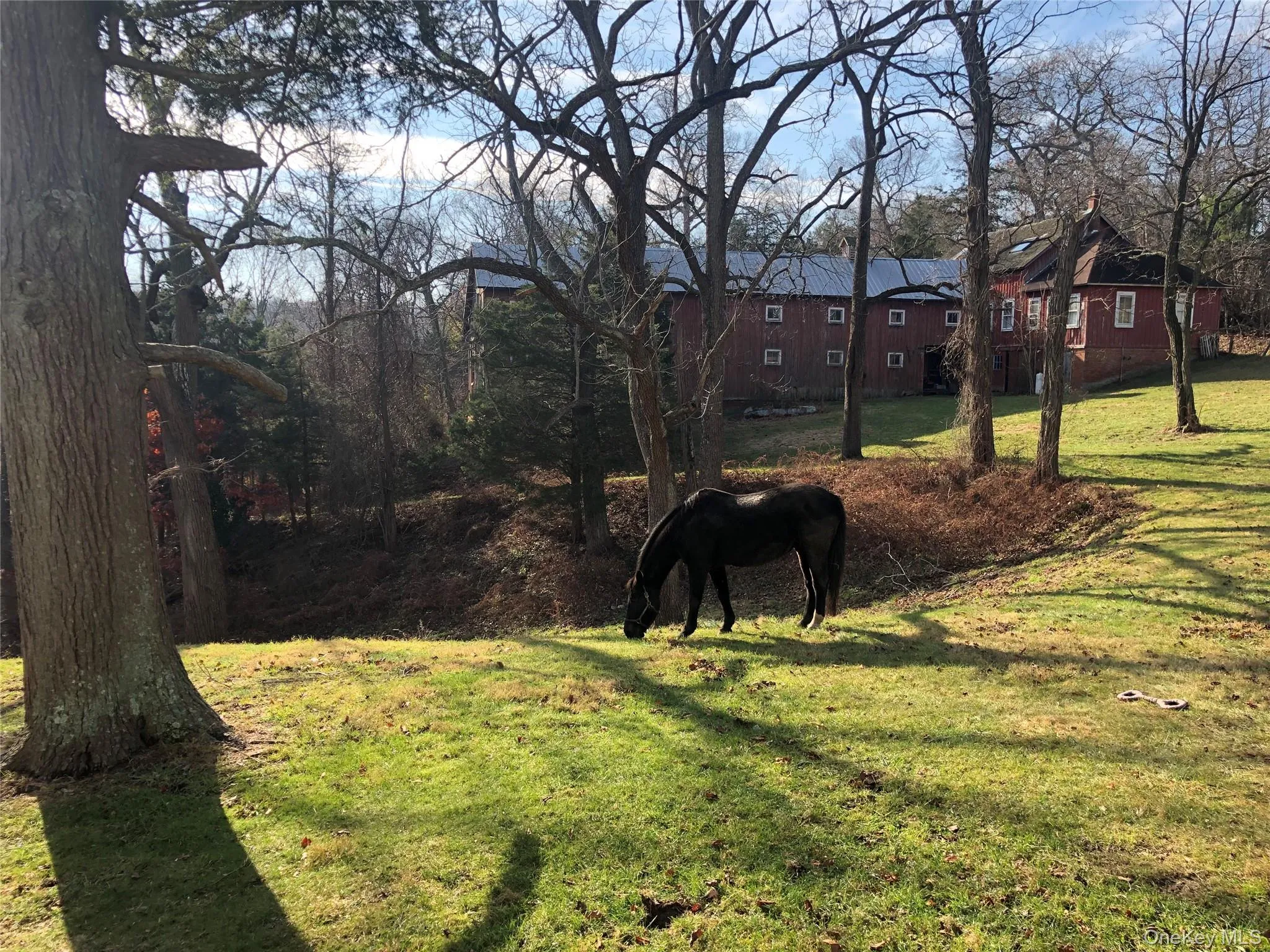 38 Landing Meadow Road, Smithtown, NY, 7 Bedrooms Bedrooms, 17 Rooms Rooms,5 BathroomsBathrooms,Residential,For Rent,Landing Meadow,0,1022766 38 Landing Meadow Road, Smithtown, NY, 7 Bedrooms Bedrooms, 17 Rooms Rooms,5 BathroomsBathrooms,Residential,For Rent,Landing Meadow,0,1022766