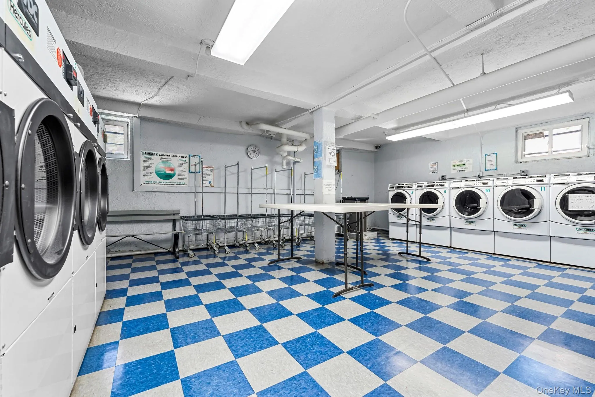 8380 118th st, New York, NY, 5 Rooms Rooms,1 BathroomBathrooms,Residential,For Rent,118th st,0,1022773 8380 118th st, New York, NY, 5 Rooms Rooms,1 BathroomBathrooms,Residential,For Rent,118th st,0,1022773