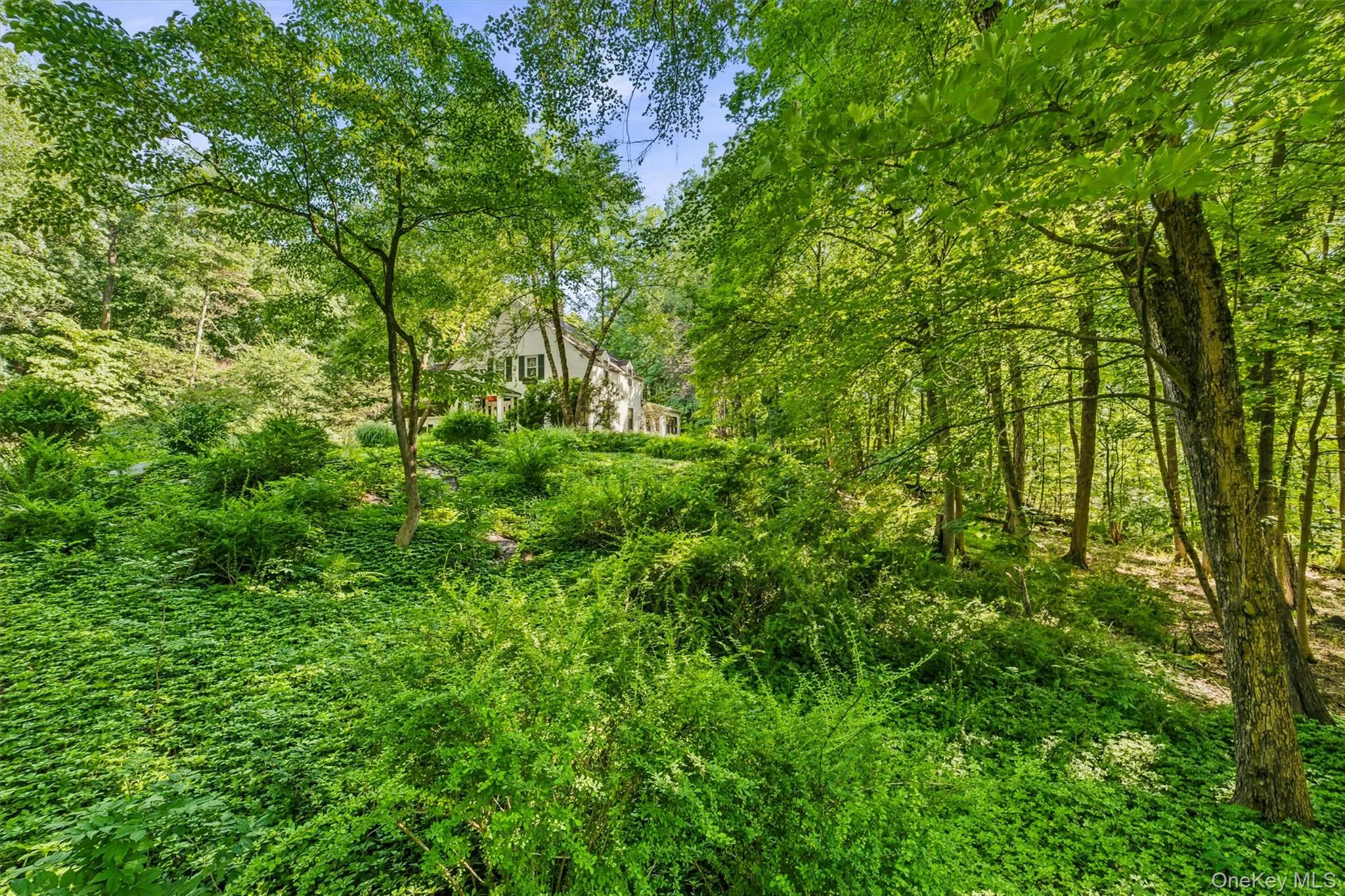 69 Montrose Station Road, Cortlandt, NY, 3 Bedrooms Bedrooms, 9 Rooms Rooms,3 BathroomsBathrooms,Residential,For Rent,Montrose Station,0,1022785 69 Montrose Station Road, Cortlandt, NY, 3 Bedrooms Bedrooms, 9 Rooms Rooms,3 BathroomsBathrooms,Residential,For Rent,Montrose Station,0,1022785