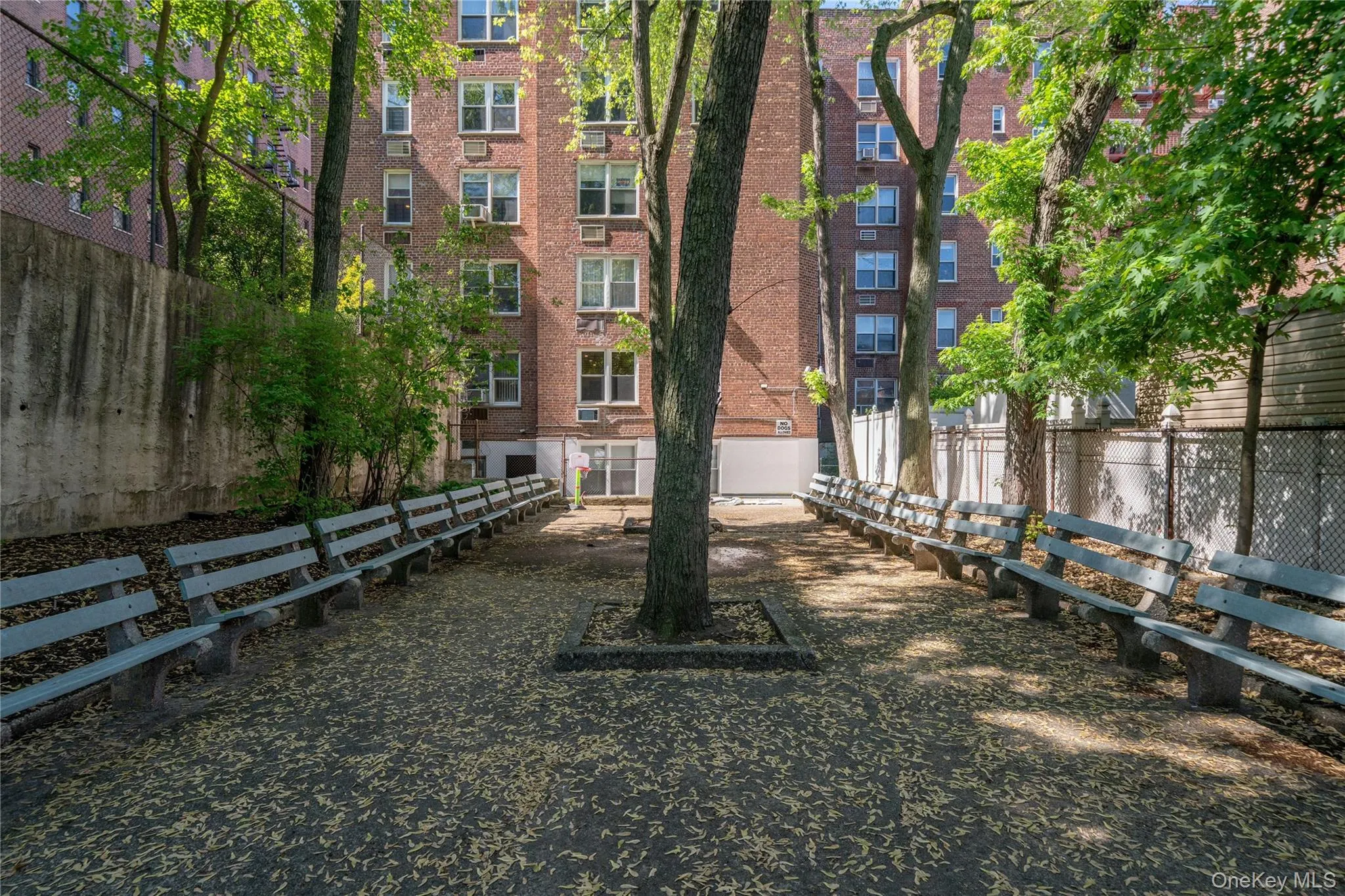 3185 Crescent Street, New York, NY, 2 Bedrooms Bedrooms, 4 Rooms Rooms,1 BathroomBathrooms,Residential,For Rent,Crescent,0,1022787 3185 Crescent Street, New York, NY, 2 Bedrooms Bedrooms, 4 Rooms Rooms,1 BathroomBathrooms,Residential,For Rent,Crescent,0,1022787