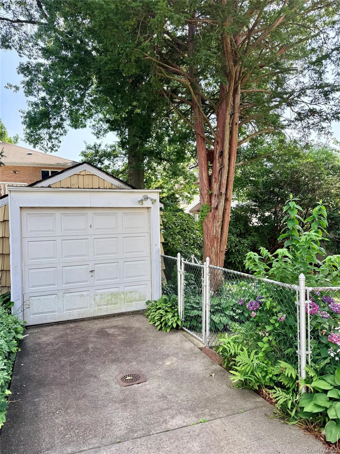 4112 Glenwood Street, New York, NY, 3 Bedrooms Bedrooms, 8 Rooms Rooms,2 BathroomsBathrooms,Residential,For Rent,Glenwood,0,1022809 4112 Glenwood Street, New York, NY, 3 Bedrooms Bedrooms, 8 Rooms Rooms,2 BathroomsBathrooms,Residential,For Rent,Glenwood,0,1022809
