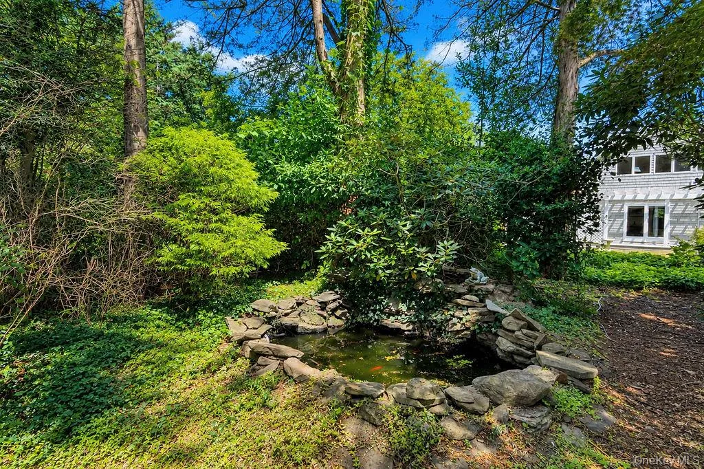 Pond with ornamental fish Pond with ornamental fish