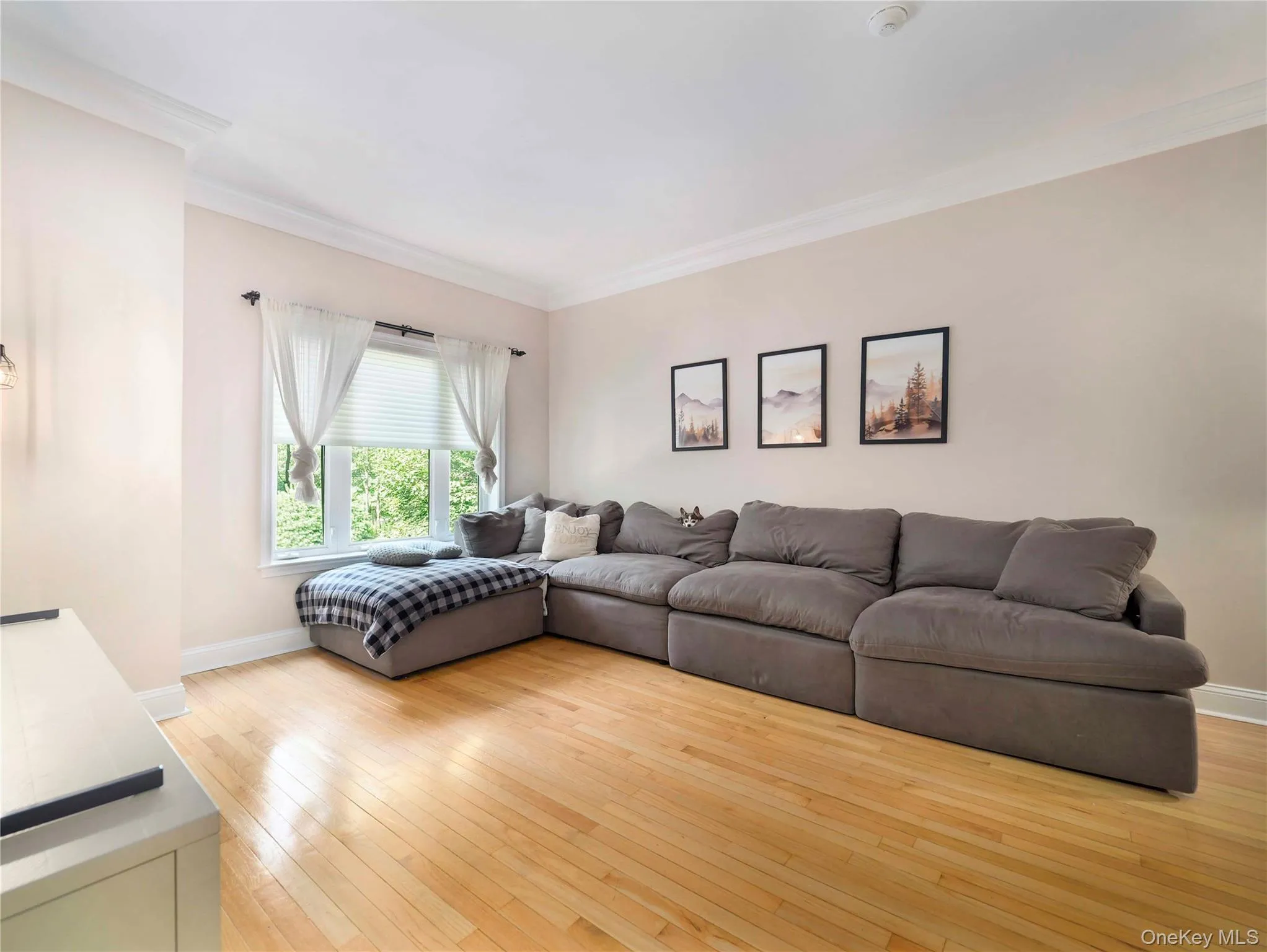146 Foltim Way, Clarkstown, NY, 3 Bedrooms Bedrooms, 6 Rooms Rooms,2 BathroomsBathrooms,Residential,For Rent,Foltim,0,1022831 146 Foltim Way, Clarkstown, NY, 3 Bedrooms Bedrooms, 6 Rooms Rooms,2 BathroomsBathrooms,Residential,For Rent,Foltim,0,1022831