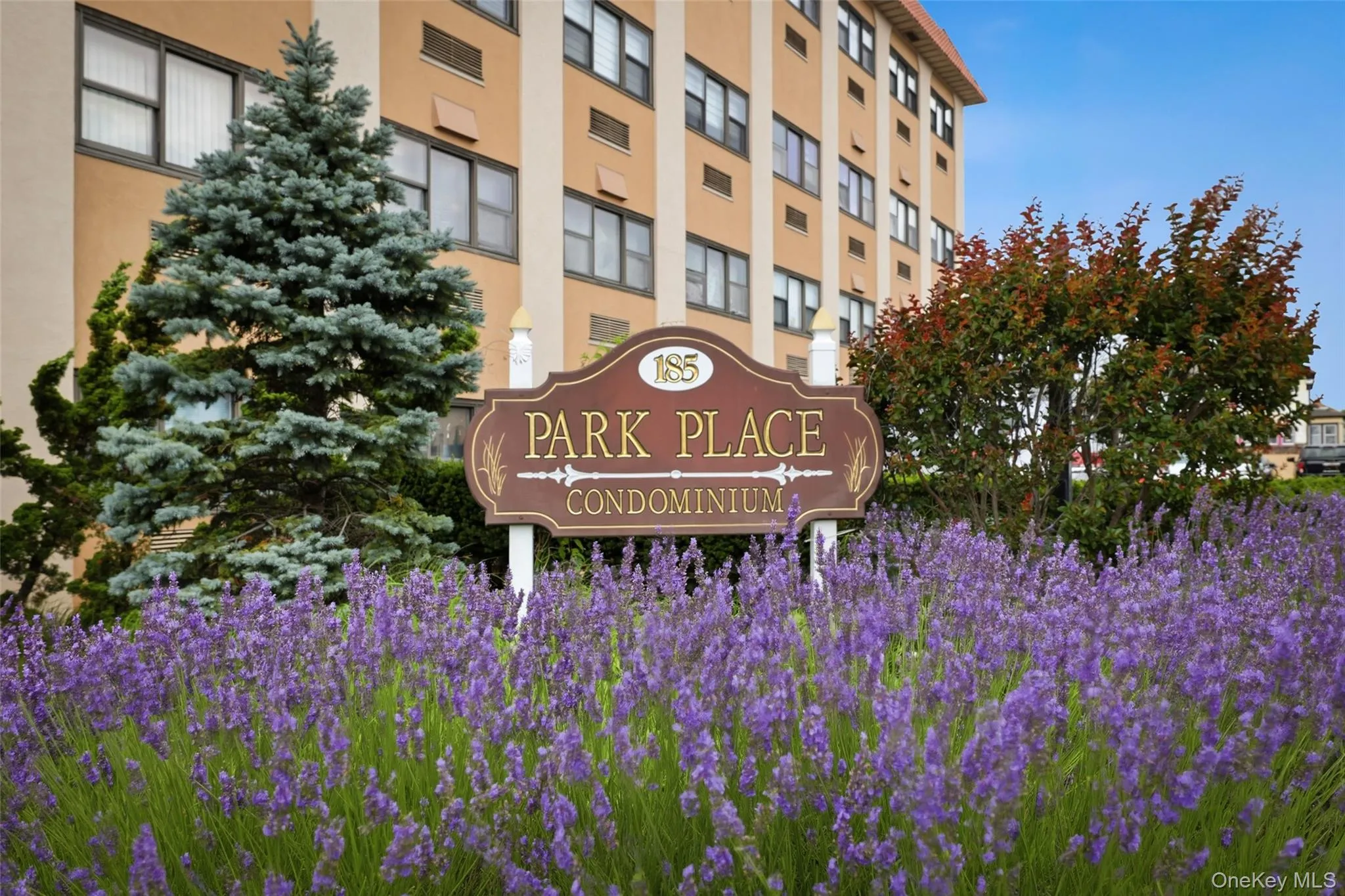 185 Park Avenue, Long Beach, NY, 2 Bedrooms Bedrooms, 4 Rooms Rooms,2 BathroomsBathrooms,Residential Lease,For Rent,Park,0,1022833 185 Park Avenue, Long Beach, NY, 2 Bedrooms Bedrooms, 4 Rooms Rooms,2 BathroomsBathrooms,Residential Lease,For Rent,Park,0,1022833