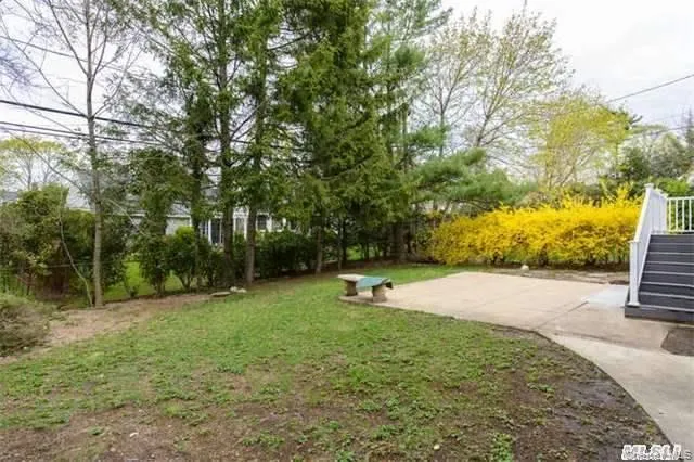 Backyard Backyard