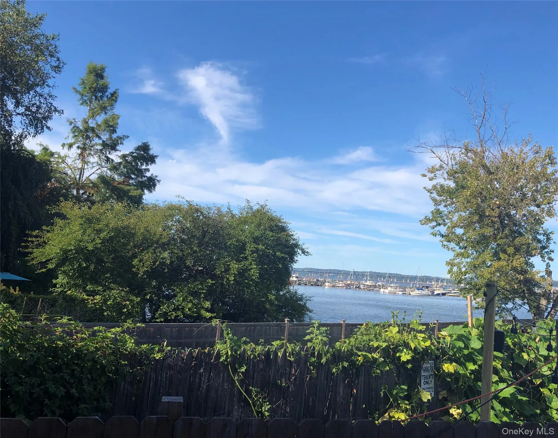 6 Lawrence Park Drive, Orangetown, NY, 1 Bedroom Bedrooms, 3 Rooms Rooms,1 BathroomBathrooms,Residential,For Rent,Lawrence Park,0,1022871 6 Lawrence Park Drive, Orangetown, NY, 1 Bedroom Bedrooms, 3 Rooms Rooms,1 BathroomBathrooms,Residential,For Rent,Lawrence Park,0,1022871