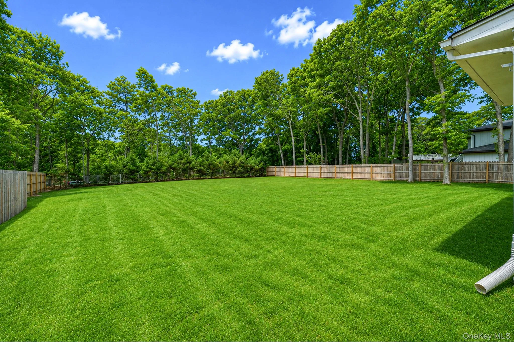 6 Rolling Woods Lane, Southampton, NY, 3 Bedrooms Bedrooms, 7 Rooms Rooms,2 BathroomsBathrooms,Residential,For Rent,Rolling Woods,0,1022898 6 Rolling Woods Lane, Southampton, NY, 3 Bedrooms Bedrooms, 7 Rooms Rooms,2 BathroomsBathrooms,Residential,For Rent,Rolling Woods,0,1022898