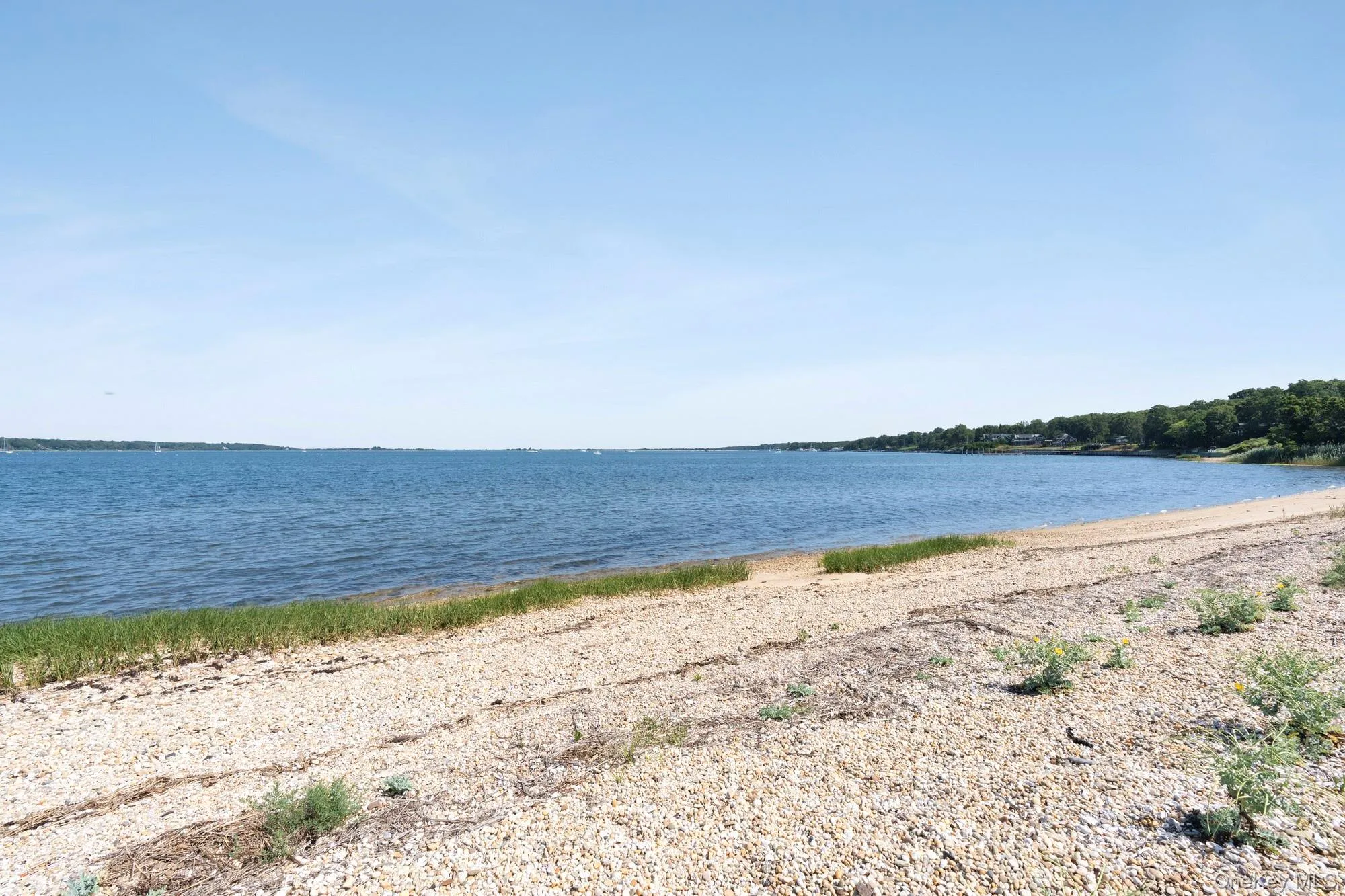 21 Breeze Hill Road, East Hampton, NY, 3 Bedrooms Bedrooms, 6 Rooms Rooms,1 BathroomBathrooms,Residential,For Rent,Breeze Hill,0,1022911 21 Breeze Hill Road, East Hampton, NY, 3 Bedrooms Bedrooms, 6 Rooms Rooms,1 BathroomBathrooms,Residential,For Rent,Breeze Hill,0,1022911