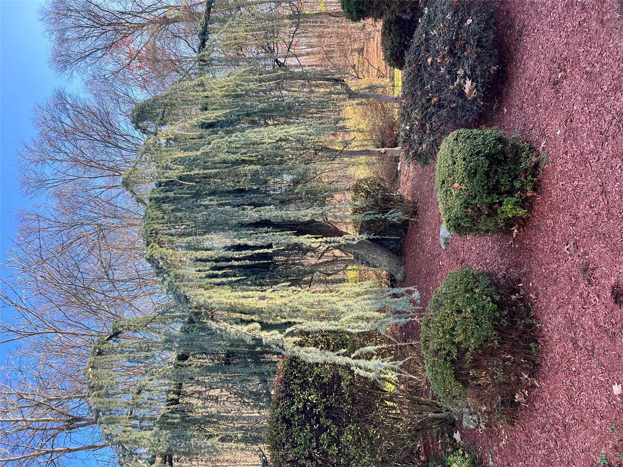 17 Birch Hill, Putnam Valley, NY, 4 Bedrooms Bedrooms, 10 Rooms Rooms,2 BathroomsBathrooms,Residential,For Rent,Birch Hill,0,1022925 17 Birch Hill, Putnam Valley, NY, 4 Bedrooms Bedrooms, 10 Rooms Rooms,2 BathroomsBathrooms,Residential,For Rent,Birch Hill,0,1022925