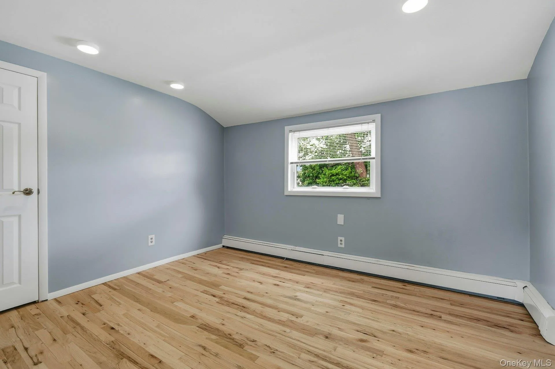 Spacious room with wood-finish flooring, recessed lighting, and a white paneled door Spacious room with wood-finish flooring, recessed lighting, and a white paneled door