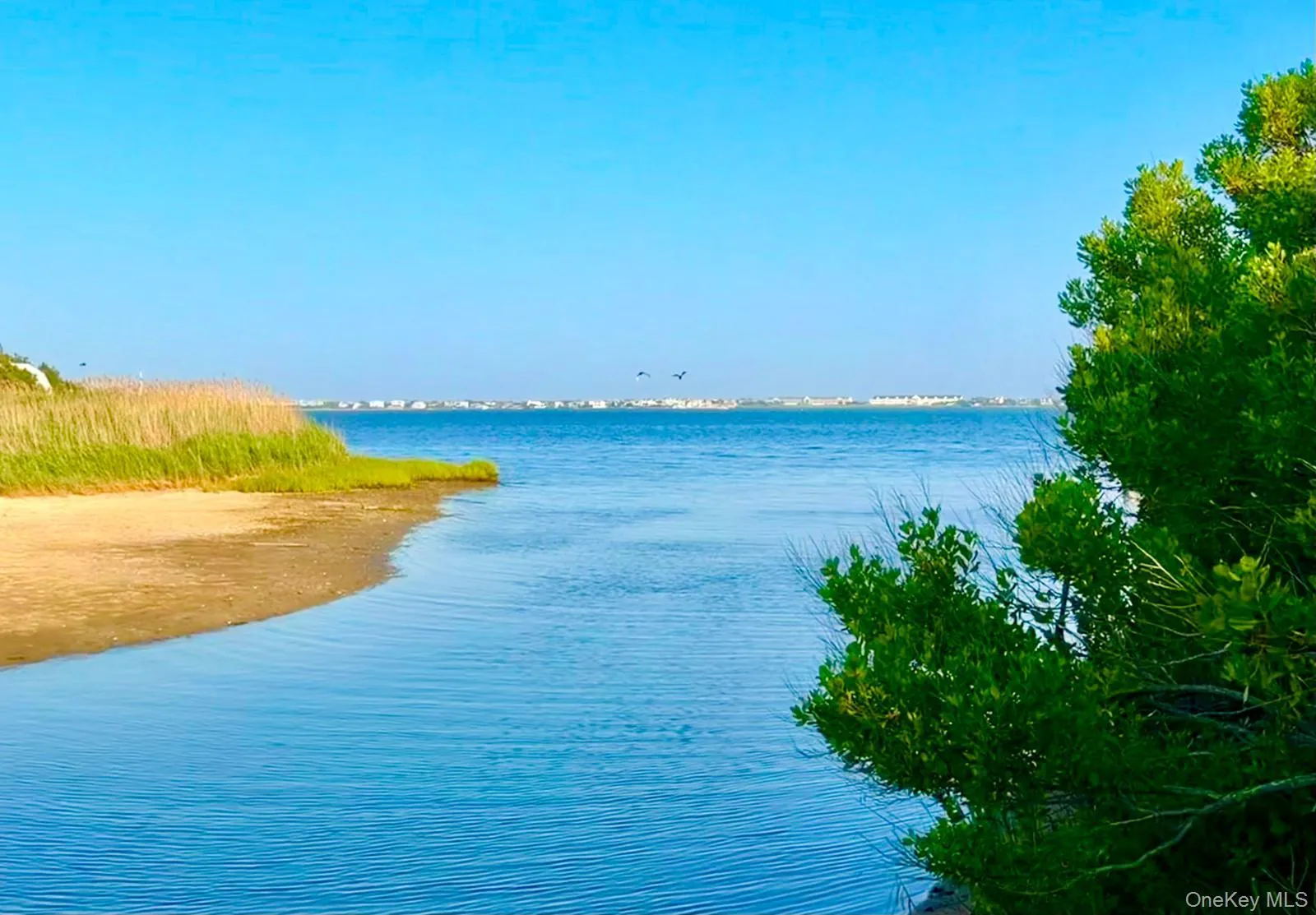 18 Pine Tree Lane, Southampton, NY, 5 Bedrooms Bedrooms, 12 Rooms Rooms,6 BathroomsBathrooms,Residential,For Rent,Pine Tree,0,1023018 18 Pine Tree Lane, Southampton, NY, 5 Bedrooms Bedrooms, 12 Rooms Rooms,6 BathroomsBathrooms,Residential,For Rent,Pine Tree,0,1023018