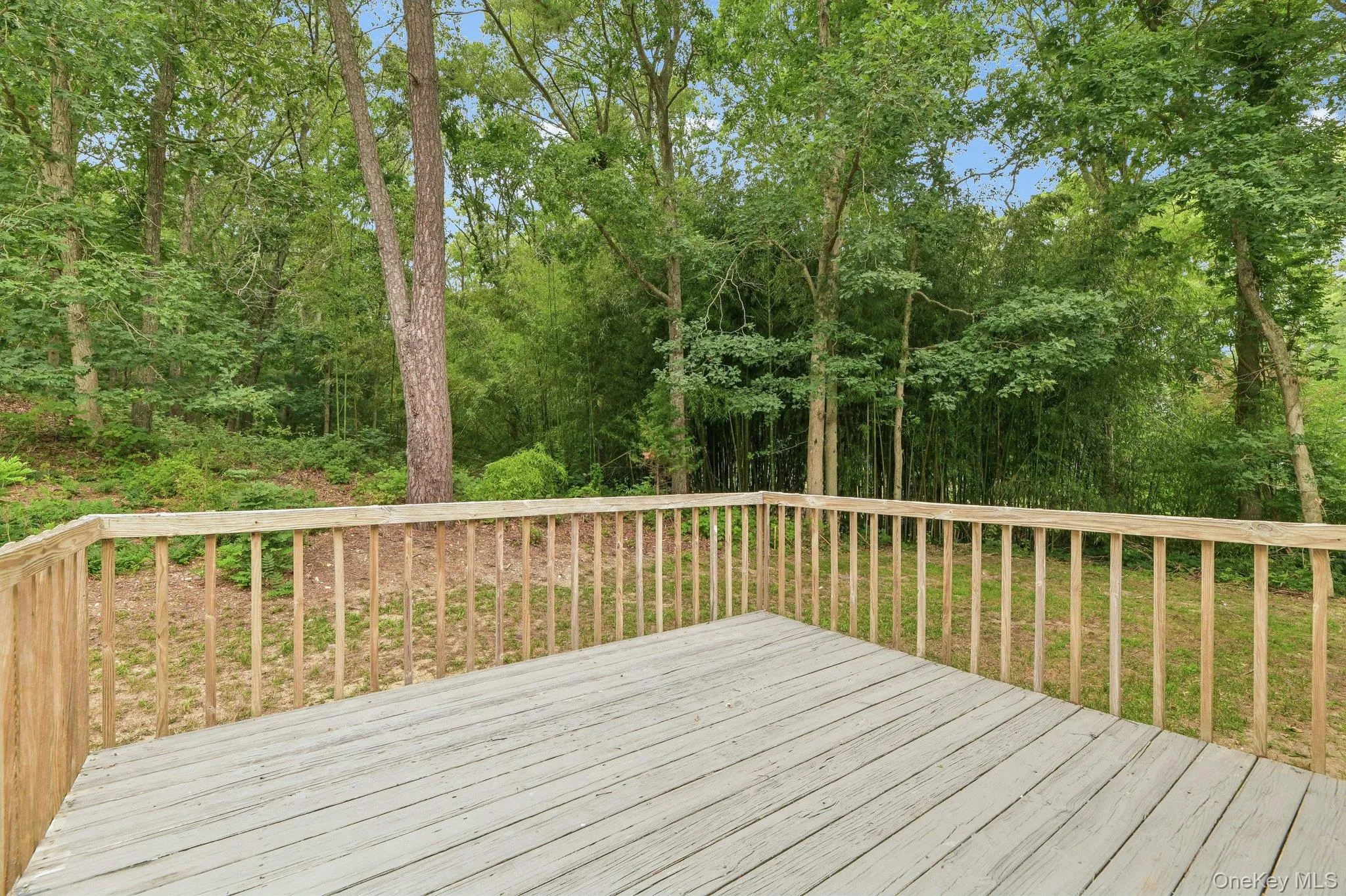 22 Red Maple Road, Brookhaven, NY, 3 Bedrooms Bedrooms, 5 Rooms Rooms,2 BathroomsBathrooms,Residential,For Rent,Red Maple,0,1023024 22 Red Maple Road, Brookhaven, NY, 3 Bedrooms Bedrooms, 5 Rooms Rooms,2 BathroomsBathrooms,Residential,For Rent,Red Maple,0,1023024