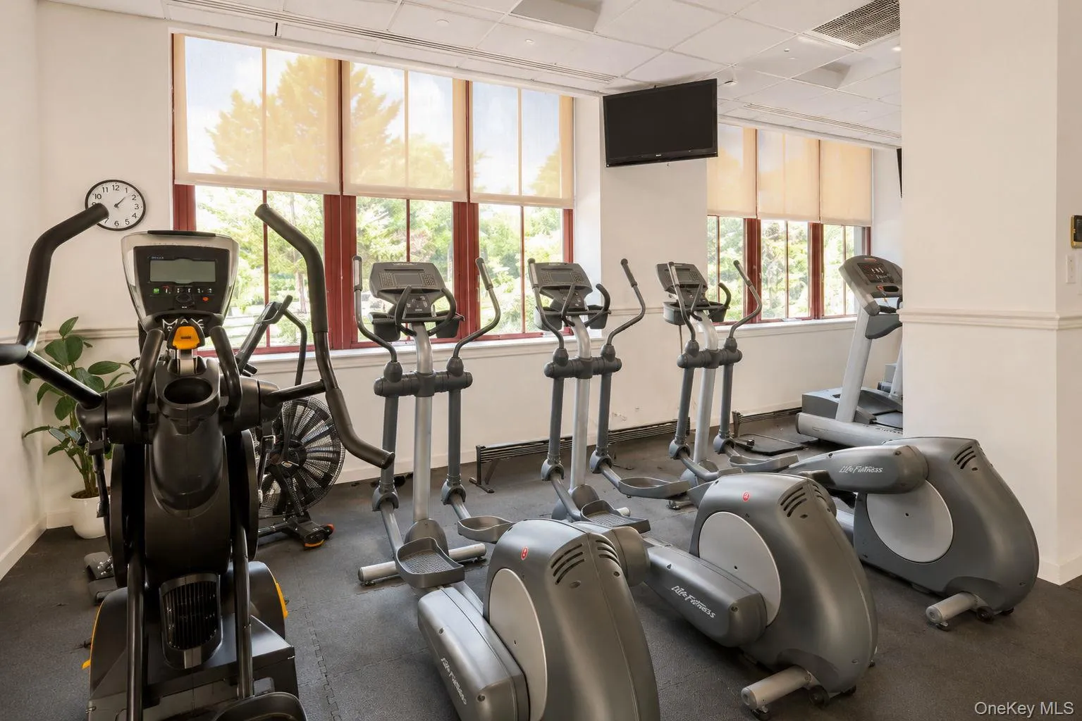 1 Scarsdale Road, Eastchester, NY, 1 Bedroom Bedrooms, 3 Rooms Rooms,1 BathroomBathrooms,Residential,For Rent,Scarsdale,0,1023040 1 Scarsdale Road, Eastchester, NY, 1 Bedroom Bedrooms, 3 Rooms Rooms,1 BathroomBathrooms,Residential,For Rent,Scarsdale,0,1023040