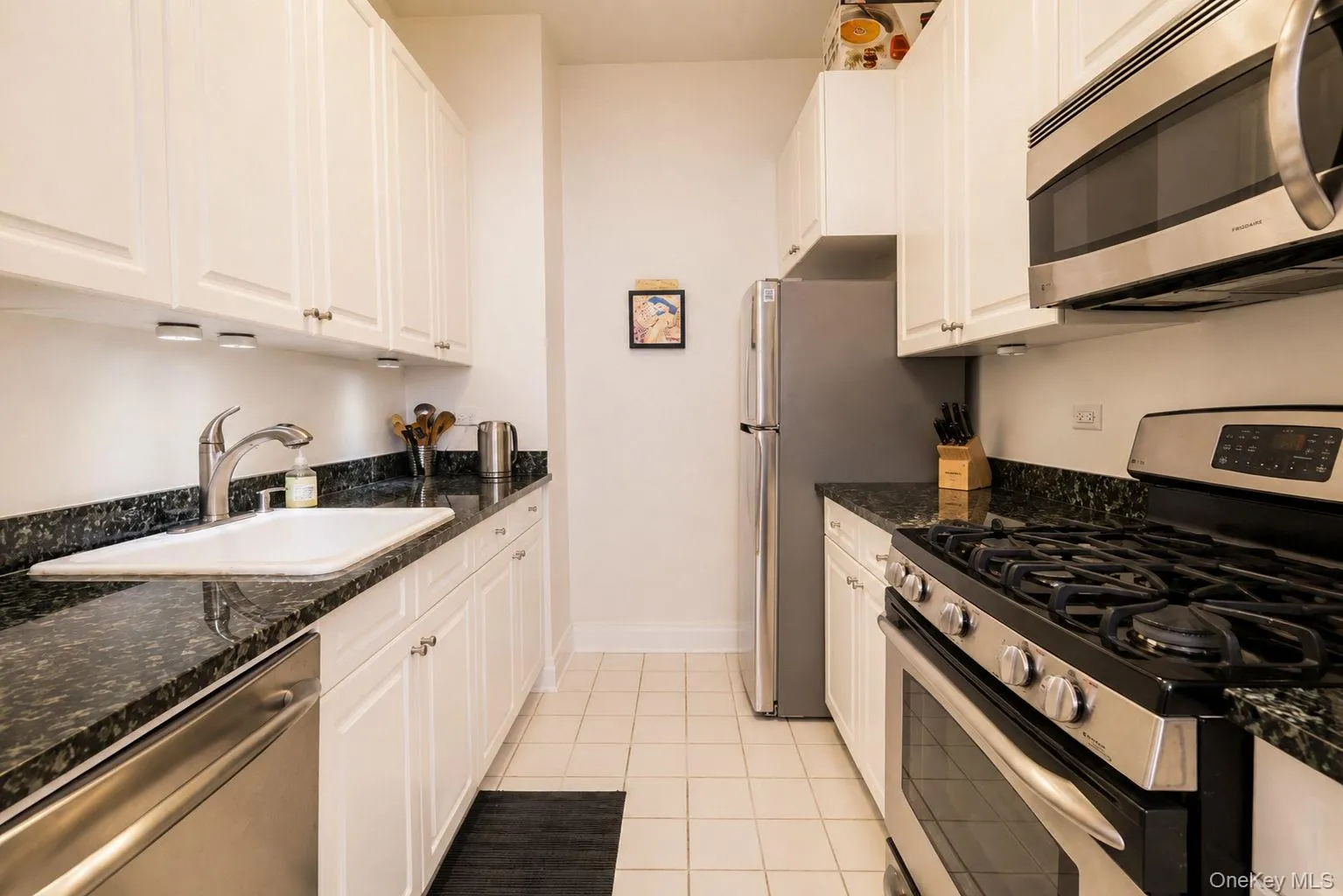 Galley Kitchen with Stainless Steel appliances , Granite counter tops and plenty of cabinetry for storage Galley Kitchen with Stainless Steel appliances , Granite counter tops and plenty of cabinetry for storage