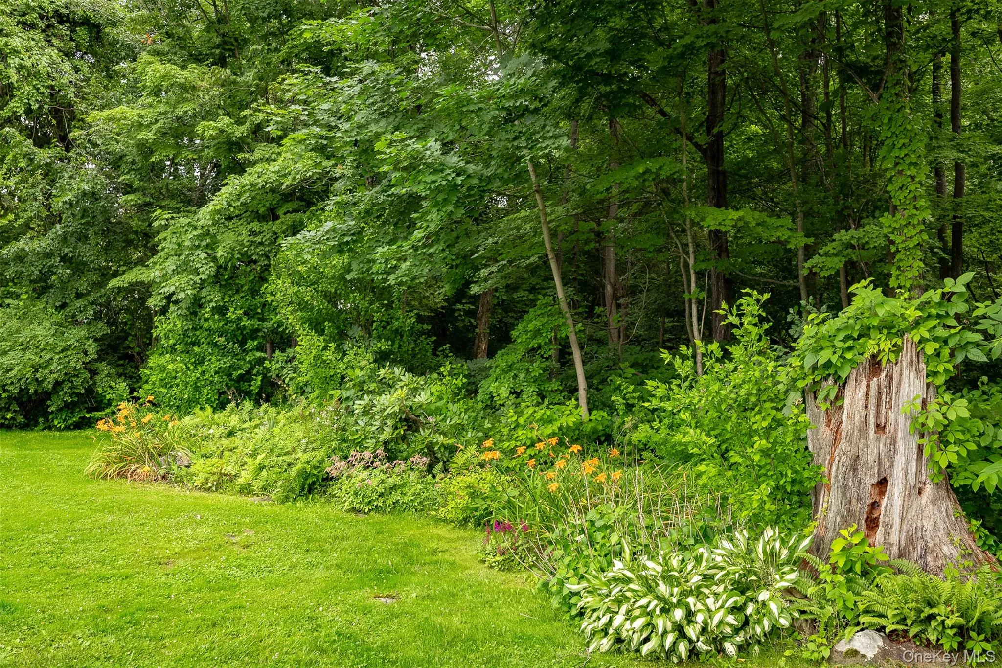 45 Holt Road, Hyde Park, NY, 2 Bedrooms Bedrooms, 4 Rooms Rooms,1 BathroomBathrooms,Residential,For Rent,Holt,0,1023047 45 Holt Road, Hyde Park, NY, 2 Bedrooms Bedrooms, 4 Rooms Rooms,1 BathroomBathrooms,Residential,For Rent,Holt,0,1023047